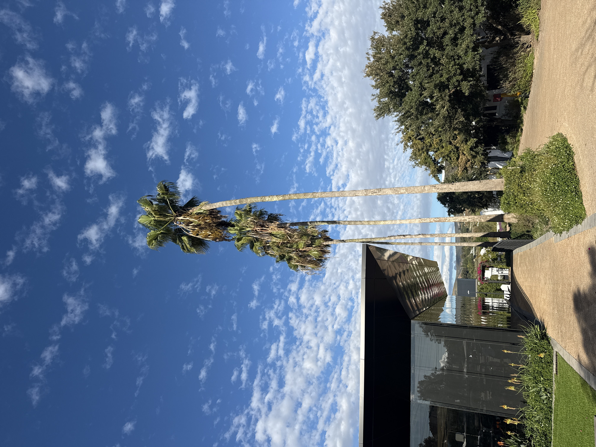 The image is a landscape shot taken in Stellenbosch Nu, South Africa. The sky is blue with scattered white clouds. Three tall palm trees are visible, oriented vertically in the left side of the frame. Their trunks are light in color, and their leafy tops appear green and slightly windblown.
On the right side of the frame, a sidewalk is visible, leading towards a building. A grassy area with small plants lines the edge of the sidewalk. A modern building with dark, reflective surfaces is in the foreground. The building's architecture features sharp angles and minimalist design. Reflections in the glass suggest the presence of trees and sky. In the background, beyond the building and the palms, are hints of mountains, houses, and more greenery, suggesting a residential or suburban area. A large green tree is positioned further along the sidewalk behind the modern building. The image overall seems to depict a sunny day in a well-maintained, possibly upscale, area of Stellenbosch Nu. There are no people visible.