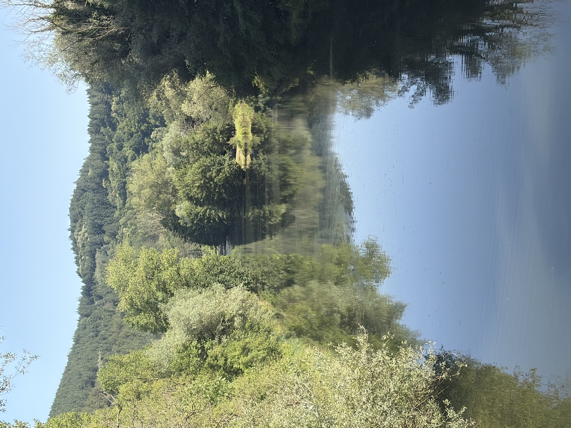 The image depicts a serene natural landscape, likely a river or a wide canal, winding through a lush, tree-lined valley. The water's surface is calm, reflecting the dense green foliage and the clear blue sky. On either side of the waterway, trees of various shades of green create a verdant backdrop, extending up the gentle slopes of the surrounding hills. The hills themselves are densely covered with trees, suggesting a forested or park-like environment. The light indicates it is daytime, with the sun illuminating the scene. There are no visible people or man-made structures in the immediate vicinity, emphasizing the natural beauty of the location. The overall impression is one of tranquility and natural untouched splendor. The image does not contain any explicit clues to identify the specific location in Kokalyane, Bulgaria.