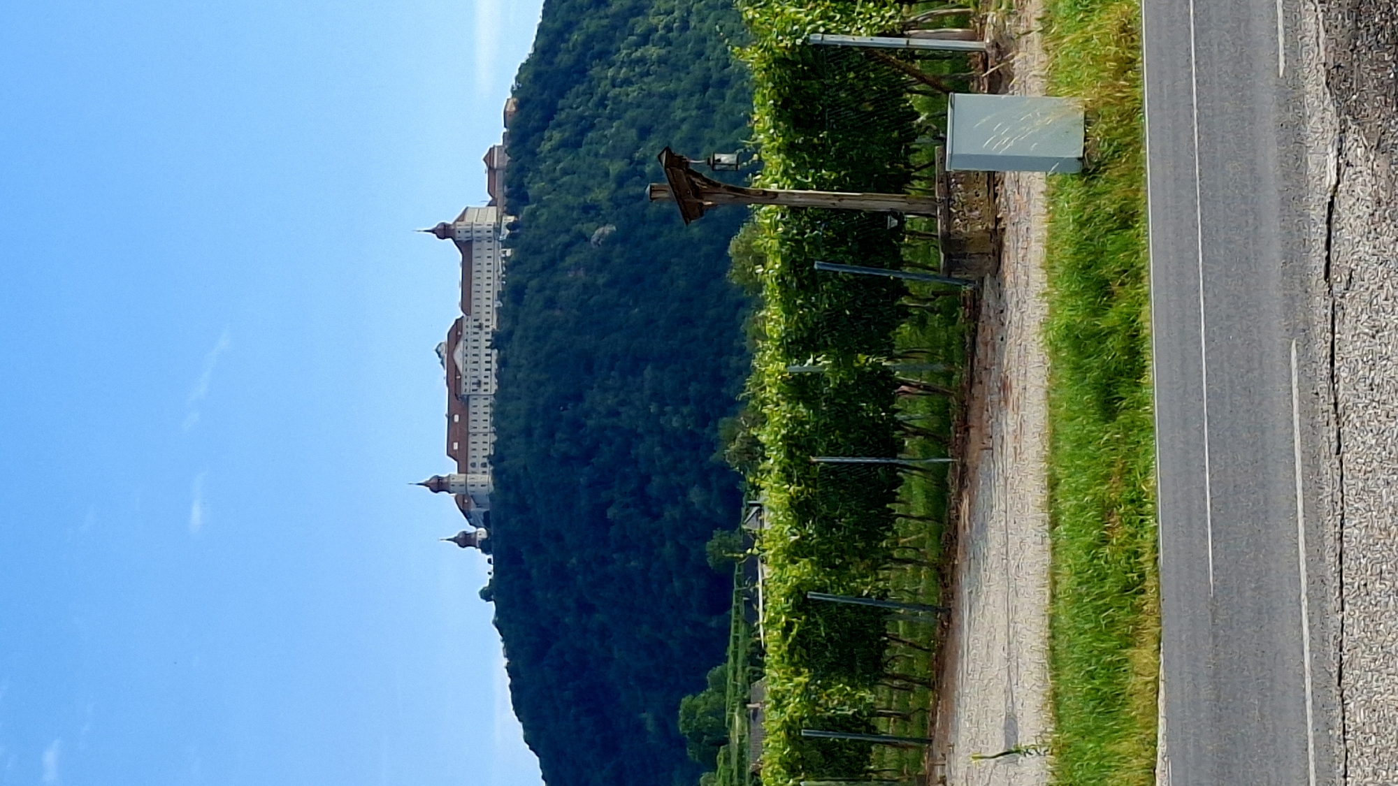 The image shows a large, multi-story building with red-tiled roofs and white walls, perched atop a densely forested hill. The building has several domed towers, with the largest one in the center. In the foreground, there are rows of green grapevines, supported by metal poles. To the right of the grapevines, there is a wooden structure with a lantern hanging from it, and a concrete base. A light-colored utility box is also visible. A road with white lines runs along the bottom of the image. The sky is clear and blue. The location is the Göttweig Abbey in Palt, Austria.