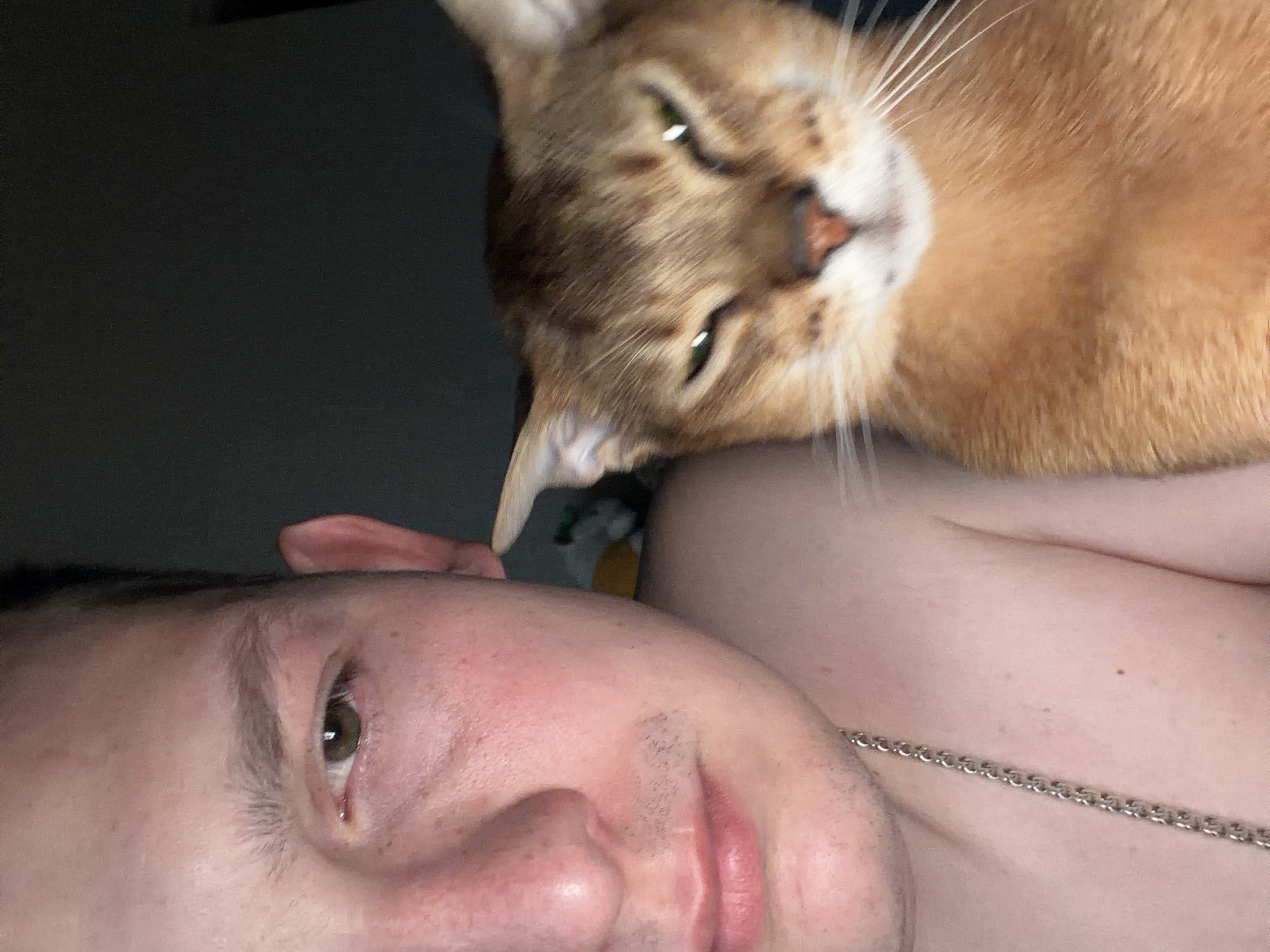 A selfie-style photograph shows a person and a cat. The person's face is in the lower left of the frame, with their head tilted back. Their eyes are partially open and face the camera. The cat is resting on the person's chest and neck, with its face near the top of the frame. The cat is ginger with a lighter-colored muzzle. The background is dark and out of focus. A silver chain is visible around the person's neck. The image does not provide any information about the location or the city of Chaikovsky, Russia.