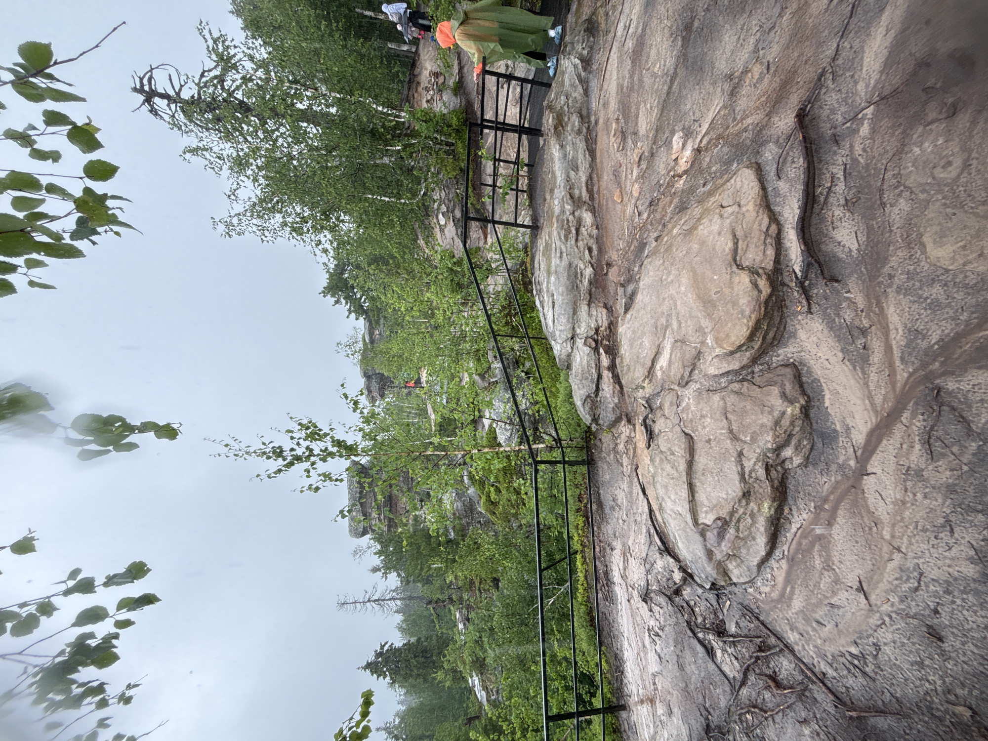 The image depicts a natural landscape on a cloudy, possibly rainy day. In the foreground, there is a large, textured rock formation with some exposed roots and water runoff channels. A black metal railing runs along the edge of this rock, forming a path or viewing area. Beyond the railing, the terrain slopes upwards, covered in green vegetation, trees, and more rock outcrops.
In the midground, a person wearing a bright green poncho with an orange hood is walking away from the camera, holding onto the railing. Further up the path, another group of people, including a child and someone in a light-colored jacket, are visible. The background features a dense forest with various types of trees, some with white bark, and more prominent rock formations. The sky is overcast and light gray. The overall impression is of a scenic, rugged outdoor location, possibly a tourist trail or natural park. There is no visible indication that this location is in Shumikhinskii, Russia; this is an assumption from the prompt.