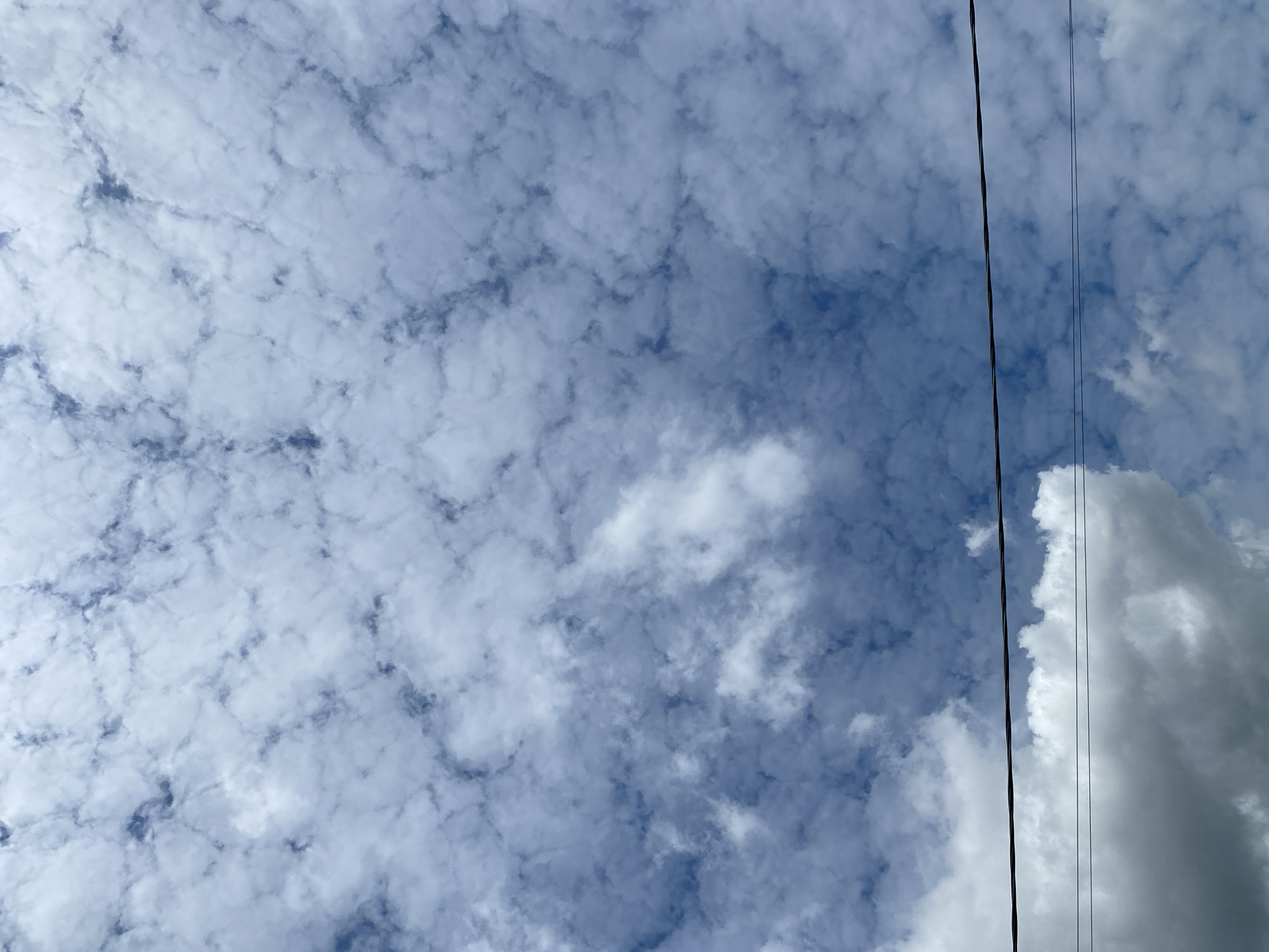 A vertical, eye-level shot captures a vast expanse of cloudy sky, divided by two horizontal power lines traversing the lower third of the frame. The clouds are varied, with a dappled pattern of smaller, textured cumulus clouds dominating the upper portion, interspersed with patches of deeper blue sky. Towards the bottom left, larger, more billowy clouds are present, some appearing darker and heavier, suggesting potential rain. The power lines are thin and dark, appearing as a straight, linear obstruction against the cloudy backdrop. The scene appears to be outdoors, possibly in an urban or suburban area given the presence of the power lines, with no people or specific landmarks visible.