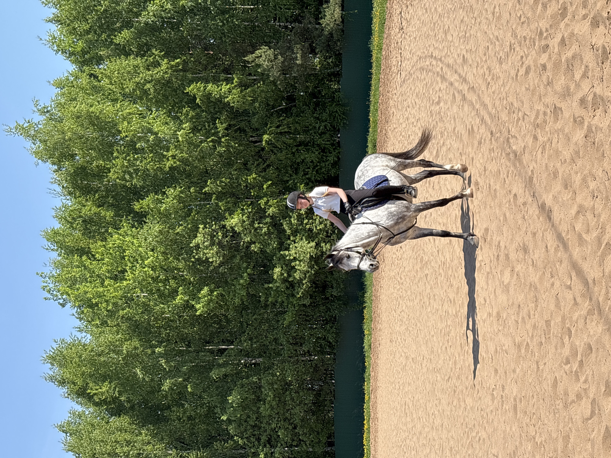 The image depicts a woman riding a grey horse in an outdoor arena. The arena appears to be filled with sand and is surrounded by a green fence. Behind the fence is a dense forest of green trees against a clear blue sky. The woman is wearing a white shirt, black riding pants, and a black helmet. The horse has a saddle and bridle. The image was taken in Русский Вожой, Russia.