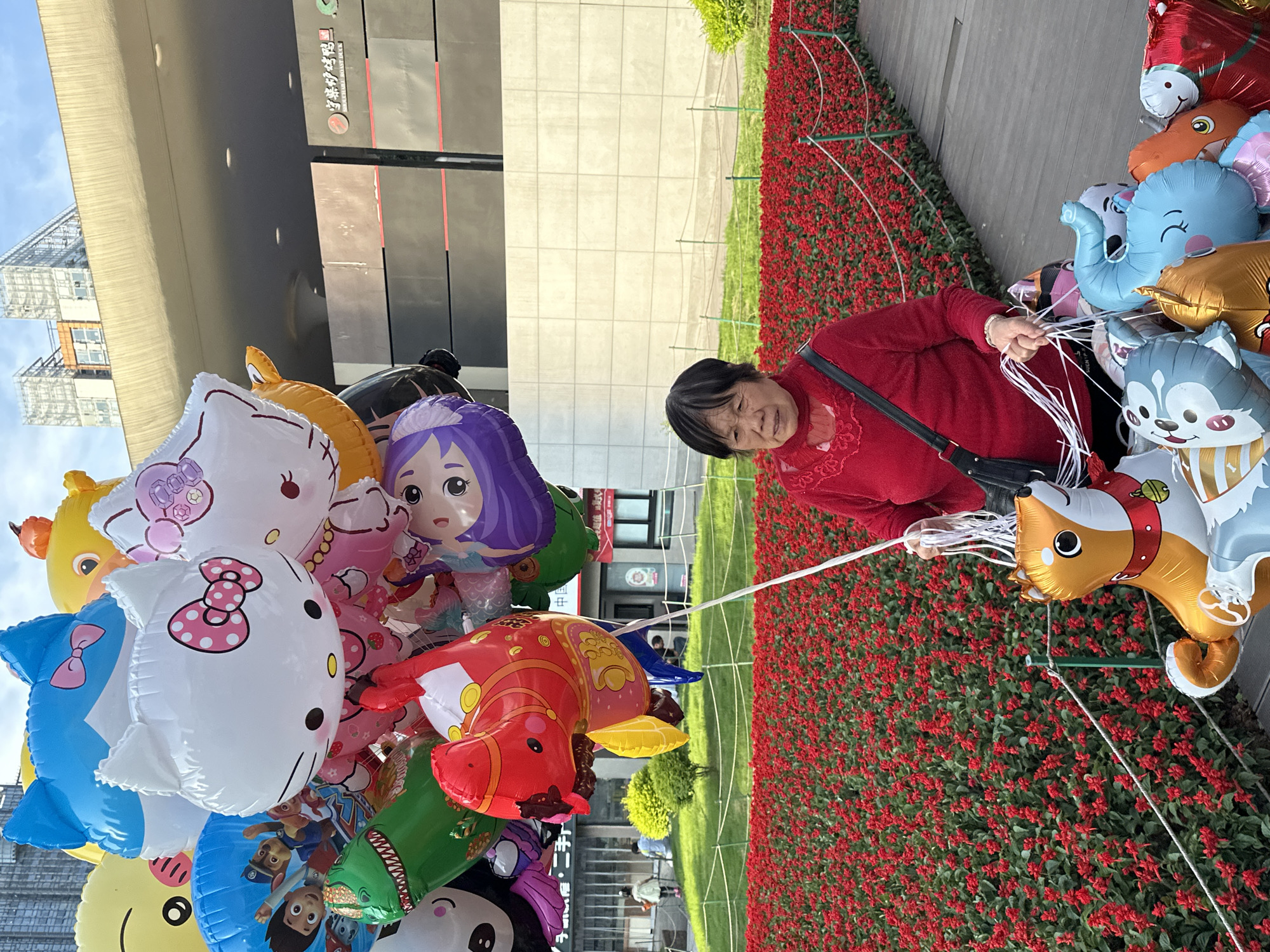 This vertical image captures an elderly woman, likely a vendor, holding a large bouquet of character balloons in an urban outdoor setting in Liangjiang, China. The woman, dressed in a red long-sleeved top and carrying a black shoulder bag, focuses on managing the numerous balloon strings. She appears to have a neutral or slightly tired expression.
The diverse collection of foil balloons includes popular characters like Hello Kitty, Paw Patrol, a blue shark, cartoon dogs (one resembling a husky), an elephant, a mermaid, a dinosaur, and various other colorful animal and fantasy figures. These balloons are clustered tightly, creating a vibrant display.
The background features a neatly landscaped area with a long bed of bright red flowers, possibly Salvia splendens, contrasted with green foliage. Beyond the greenery, there's a paved section and modern buildings under a clear, bright sky, indicating daytime. One of the buildings in the background displays commercial signage with English text "THE ASIAN MARKETPLACE" and a distinctive 'Q' logo alongside Chinese characters.
The scene depicts a typical street vending activity in a bustling urban environment, with the cheerful balloons contrasting with the more subdued surroundings and the vendor's demeanor.