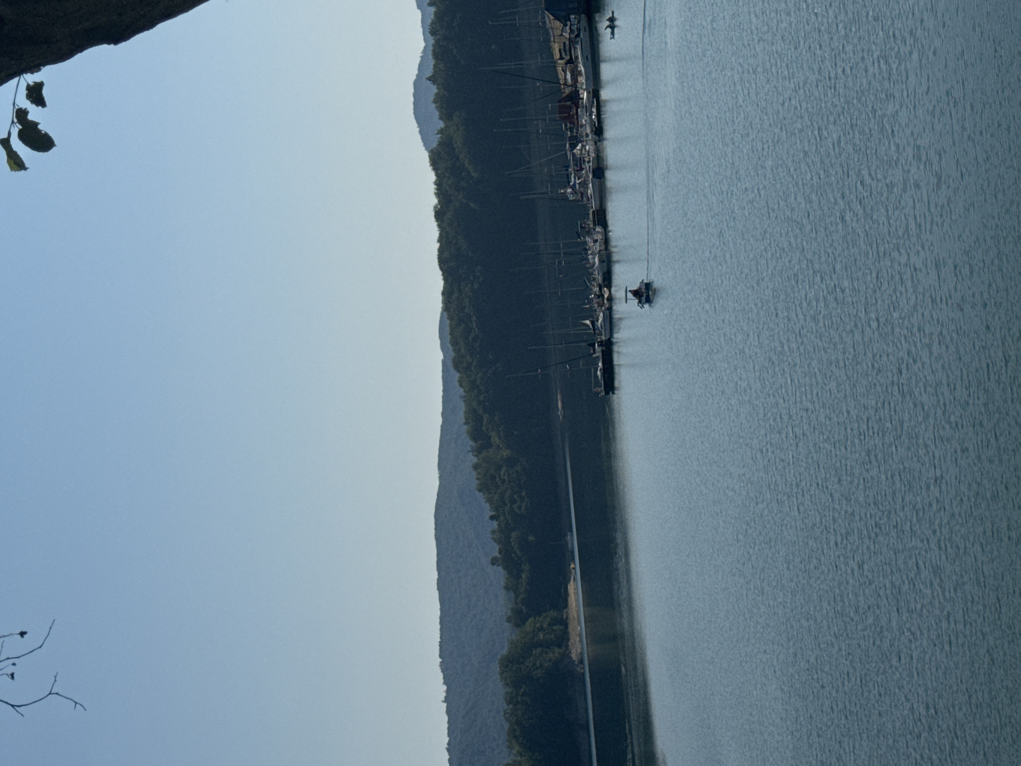 The image captures a serene view of the Solina Lake, a reservoir in Polańczyk, Poland, under a clear, pale blue sky. The foreground is dominated by the tranquil, rippling surface of the lake, reflecting the subdued light. In the middle ground, a marina filled with numerous sailboats is visible along the tree-lined shore. The sailboats are docked side-by-side, their masts creating a distinctive silhouette against the darker backdrop of lush green trees and rolling hills. A small motorboat is moving across the water, leaving a subtle wake. Further out on the water, a person appears to be kayaking. The background consists of densely forested hills that fade into a hazy horizon. A branch with a few leaves hangs into the frame from the top right, and a thin, bare branch is visible in the upper left corner, adding a natural element to the composition.