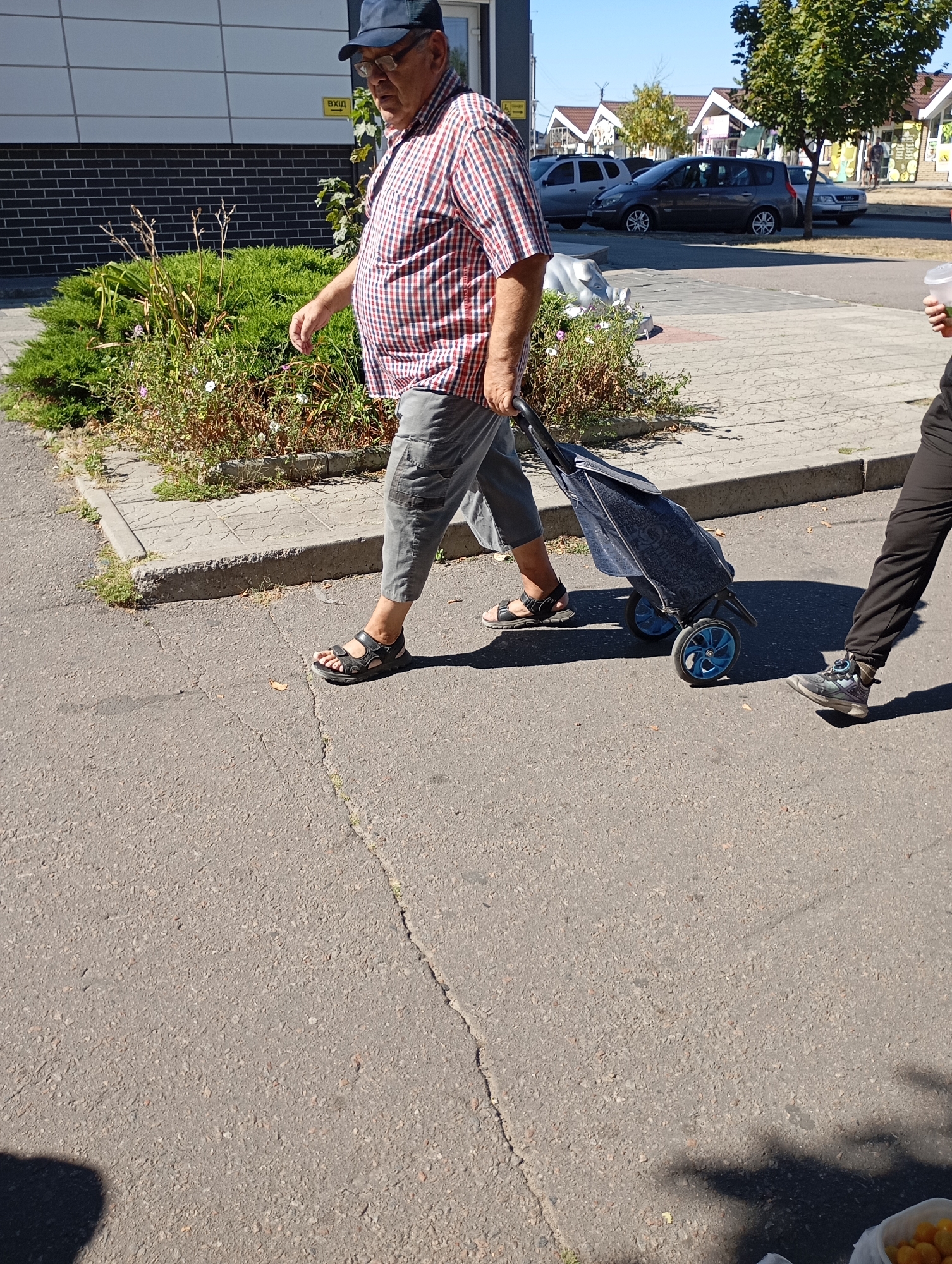 An elderly man wearing a plaid shirt, grey shorts, a blue baseball cap, and black sandals walks on a paved sidewalk and asphalt street, pulling a dark blue wheeled shopping cart. He is wearing glasses and appears to be looking down at the cart. To his right, a person in black pants and athletic shoes is also walking. The background shows a modern building with a brick lower section, green bushes, a tree, parked cars, and shops with awnings. The sky is clear and blue, indicating a sunny day. The scene is located in the city of Horishni Plavni, Ukraine, a common urban setting.