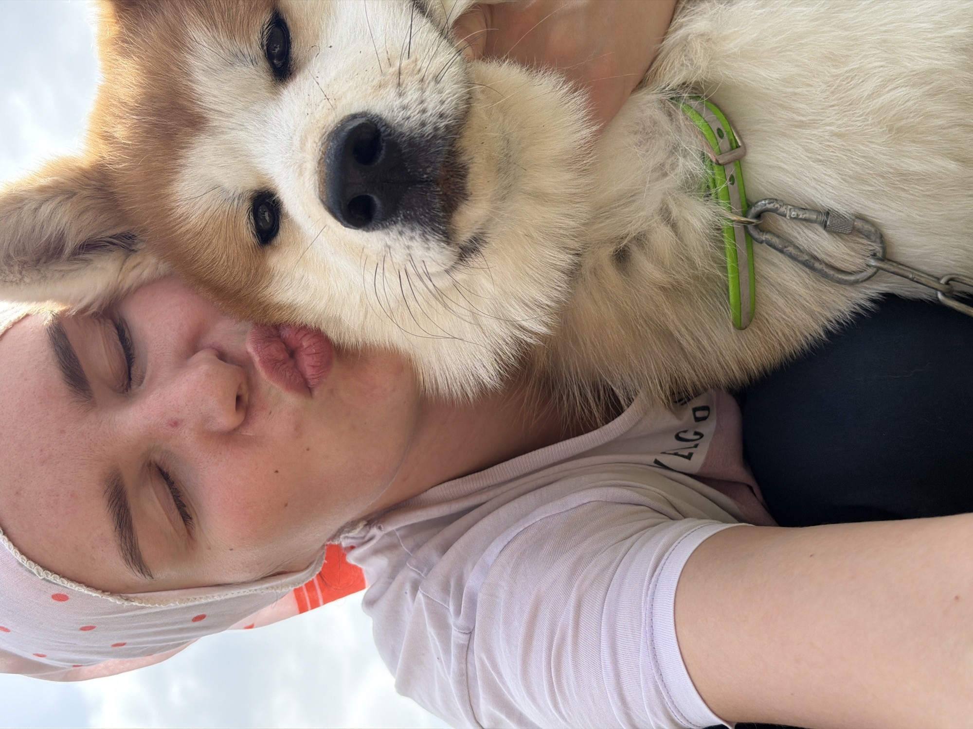 A woman is holding a dog close to her face. The dog is an Akita breed with a thick, light brown and white coat, wearing a green collar with a metal clip attached to it. The woman has light skin, closed eyes, and puckered lips as if giving the dog a kiss. She wears a light-colored T-shirt and a pink and white polka dot headscarf. The background shows a glimpse of a bright, overcast sky. The location appears to be outside. There is no information to determine if this photo was taken in Chaikovsky, Russia.
