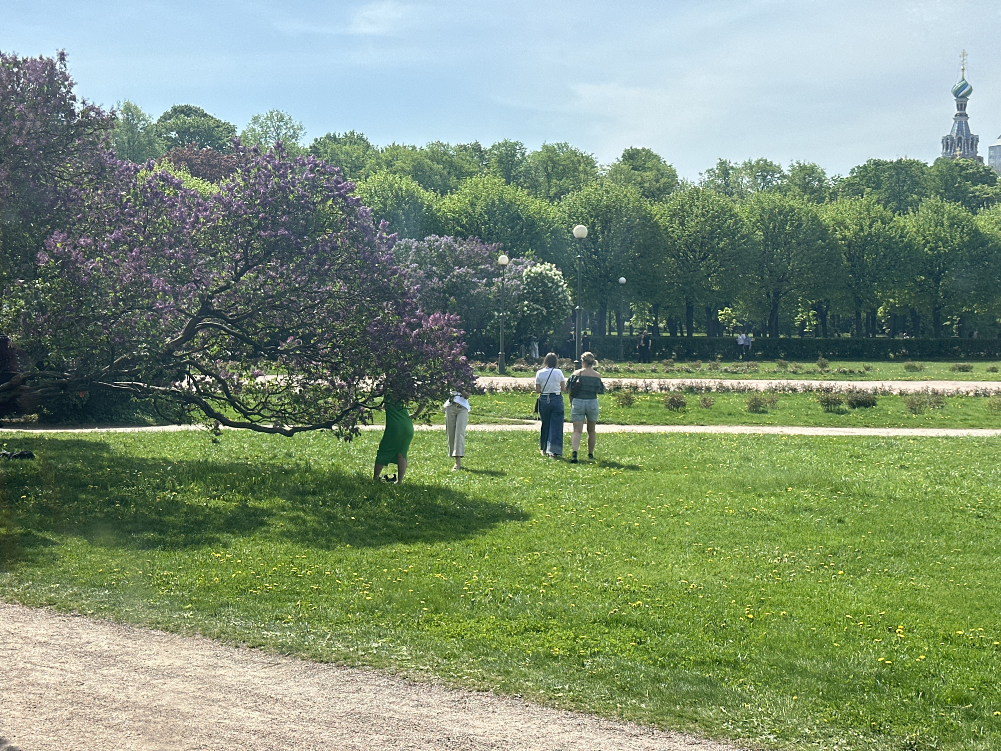 The image shows a park in Saint Petersburg, Russia. In the background is the Church of the Savior on Spilled Blood. In the foreground, a group of three people are walking across a grassy field. A person in a green dress stands under a tree with purple flowers. The ground is covered with yellow dandelions. A path runs along the edge of the frame.
