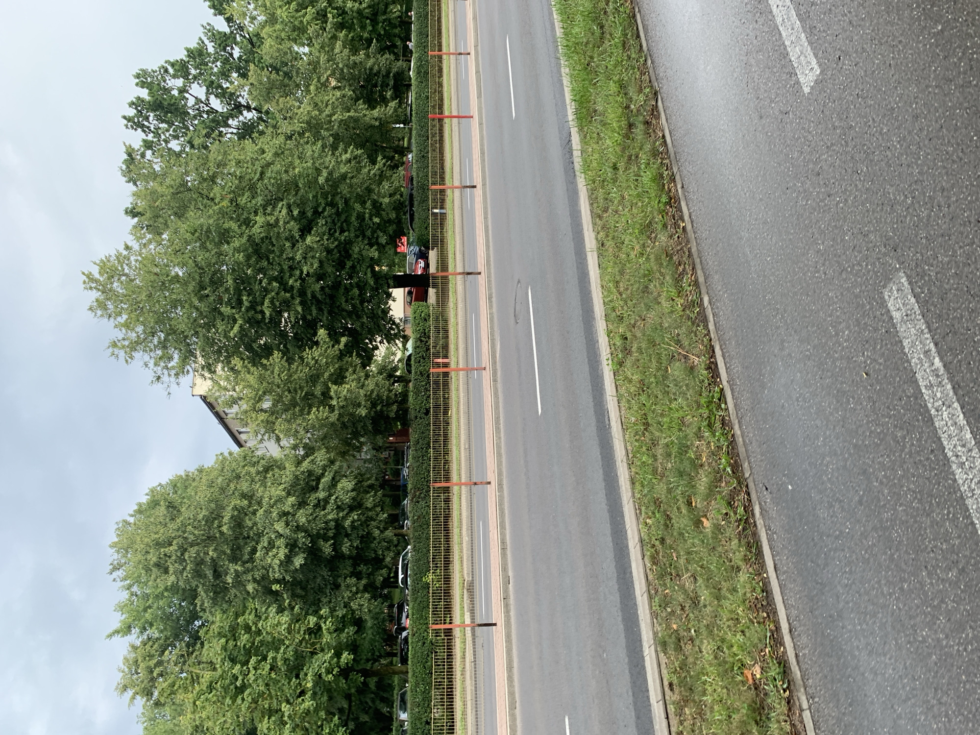 The image depicts a street scene in Białystok, Poland, likely on a cloudy day. A two-lane asphalt road occupies the foreground and middle ground, with white lane markings. To the left of the road, a strip of green grass and a concrete curb are visible. A yellow metal fence with orange vertical posts separates the road from a sidewalk area. Beyond the fence, a row of neatly trimmed green hedges lines the property. Further back, several cars are parked in front of a building. A dense line of mature green trees forms a backdrop behind the building and hedges. The sky is overcast. There are no people clearly visible in the image.