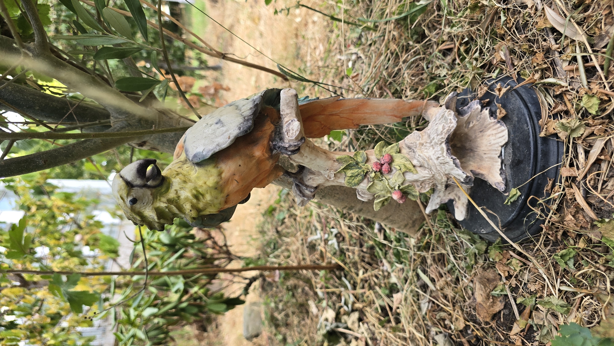 A statue of a parrot is positioned in an outdoor setting. The parrot, depicted in a realistic style, is perched on a branch adorned with red berries and green leaves. The statue is placed on a black base. The surrounding environment consists of dry grass, fallen leaves, and the trunks of trees, suggesting a natural or garden area. In the background, blurred foliage and what appears to be a building or structure are visible. The lighting suggests it is daytime. There are no people or animals present in the image. This scene is not located in Antwerp, Belgium.