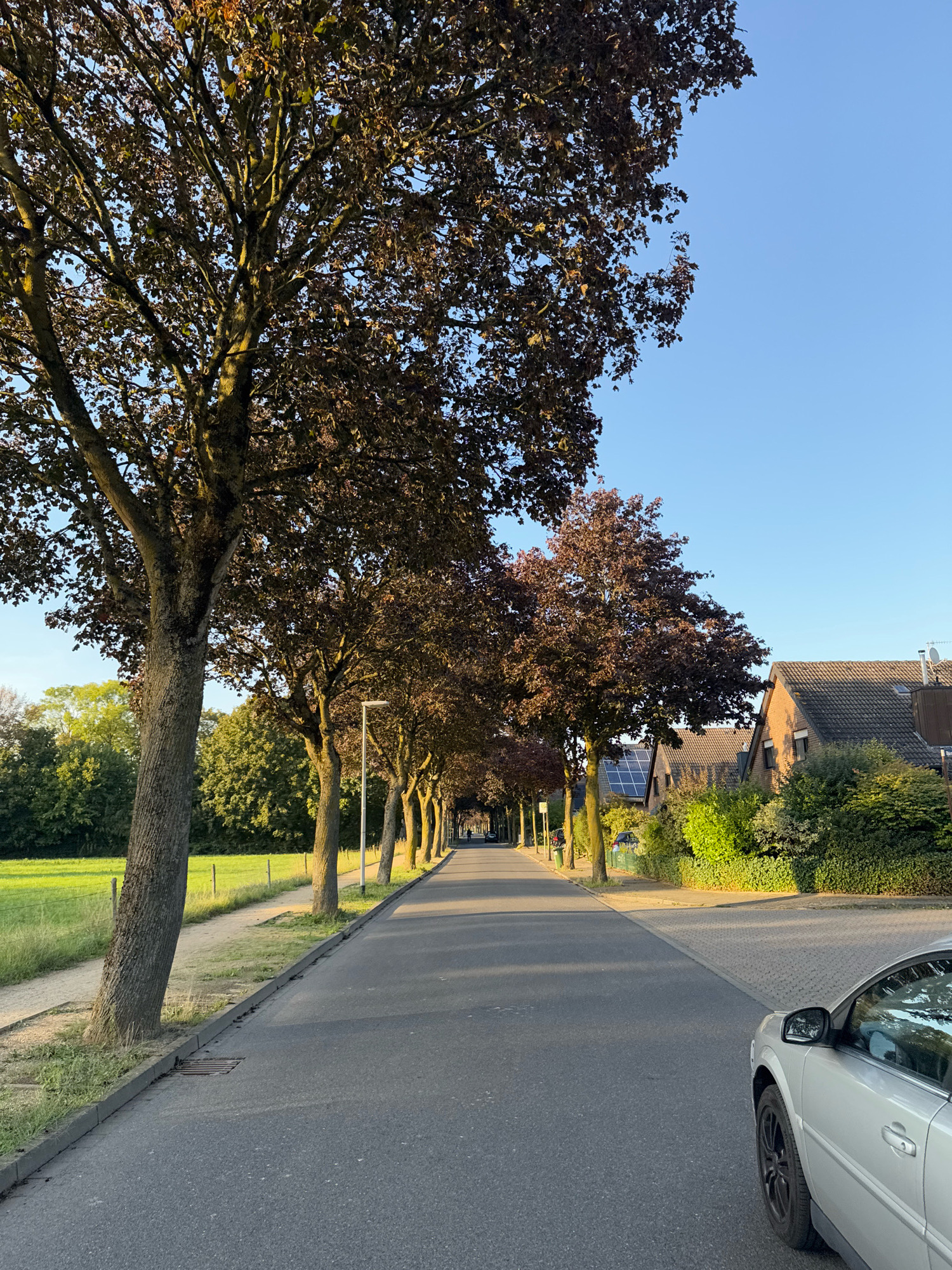 The image depicts a suburban street in Cleves, Germany, lined with mature trees casting long shadows. The street is paved with asphalt and features a sidewalk to the left, bordered by a grassy field. Houses with tiled roofs are visible on the right side of the street, some equipped with solar panels. A silver car is parked on the right side of the road. The sky is clear and blue, indicating a sunny day. The scene appears peaceful and residential, likely captured during late afternoon or early evening based on the lighting.