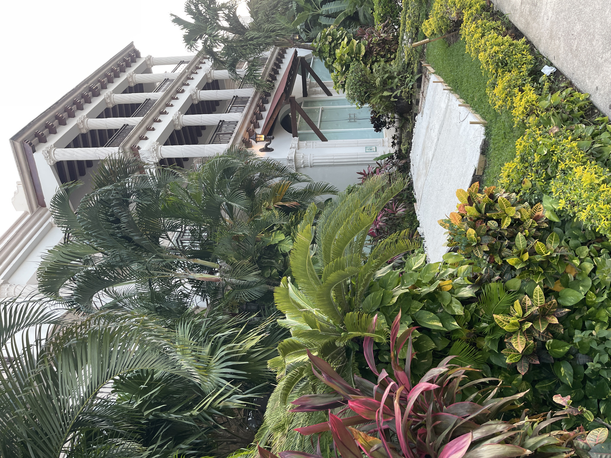 The image shows a multi-story, white building in Playa del Carmen, Mexico, with classical architectural features such as columns and balconies. The building is partially obscured by lush tropical vegetation, including palm trees, cycads, and colorful flowering plants. A white concrete path leads towards the building, lined with greenery and grass. The overall environment suggests a tropical resort or residential setting.