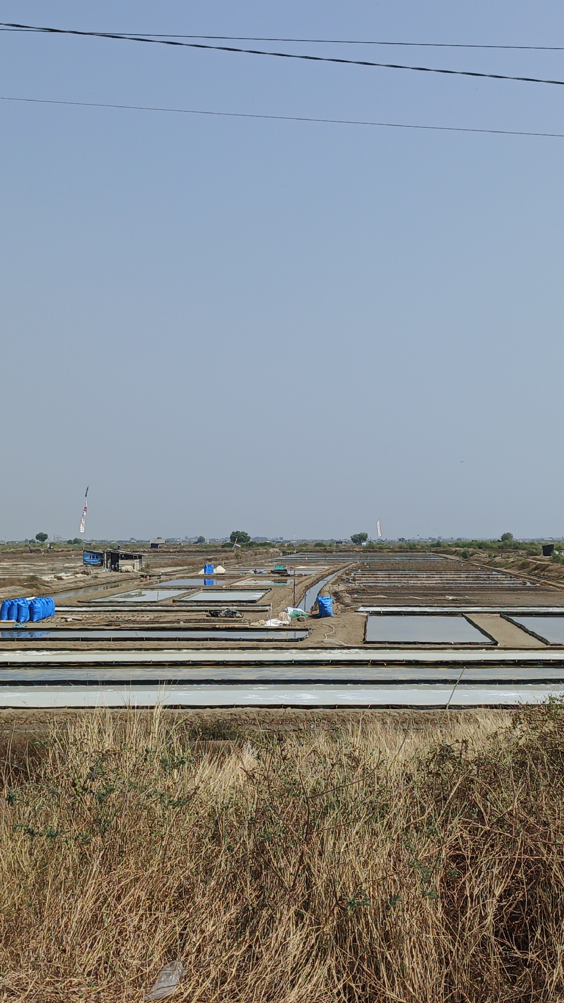A wide, low-angle, vertical outdoor shot captures a salt farm in Krimun, Indonesia, under a clear, pale blue sky. The foreground is dominated by dry, golden-brown grasses and sparse green bushes, with a crumpled plastic bag visible near the bottom left.
The middle ground reveals a sprawling salt farm with numerous rectangular evaporation ponds. Some ponds are filled with a dark liquid, while others appear dry or are covered by white or light blue tarps. Several stacks of blue tarp-covered sacks are visible in the left portion of the frame. A small, dark-roofed building with a white flag on a pole stands behind these sacks. A bicycle is parked near the center of the farm. Further in the distance, more ponds and low-lying structures are spread across the landscape.
In the far distance, a faint line of trees and buildings can be seen, suggesting a small settlement or rural area. Two kite-like objects, one red and white and the other white, are visible in the sky. Overhead, two dark power lines stretch across the top of the image. The overall impression is one of a vast, open, and industrial agricultural landscape under a bright, sunny sky.