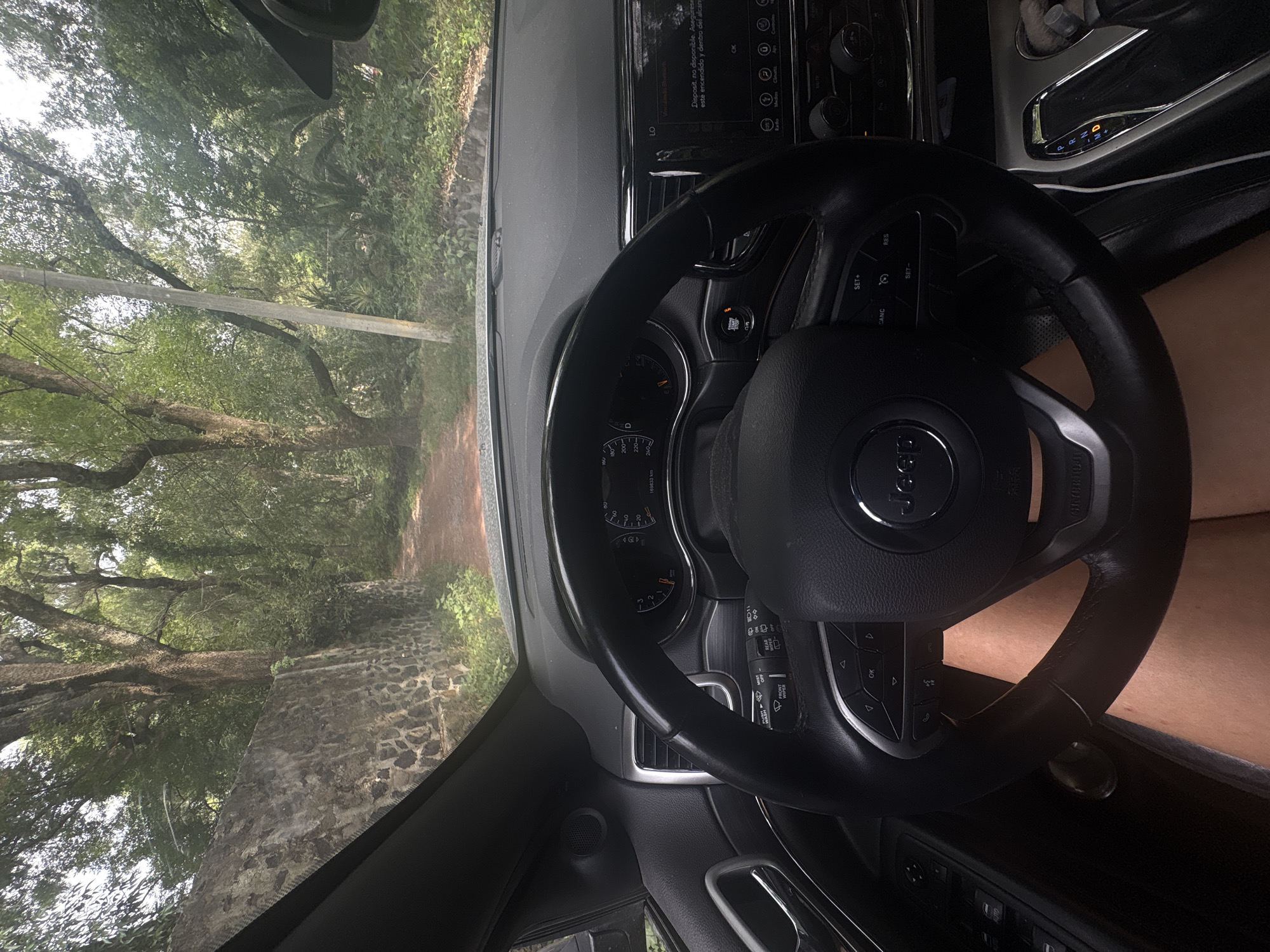 The image depicts the interior of a Jeep, focusing on the steering wheel, dashboard, and windshield view. The steering wheel, emblazoned with the "Jeep" logo, occupies the foreground. The dashboard features various buttons, displays, and the gear selector indicating "D" (Drive). Through the windshield, a view of a road or path surrounded by lush, dense greenery is visible. A stone wall can be seen to the left of the road. The image suggests a drive through a wooded area. It is located in Canada de Madero, Mexico.