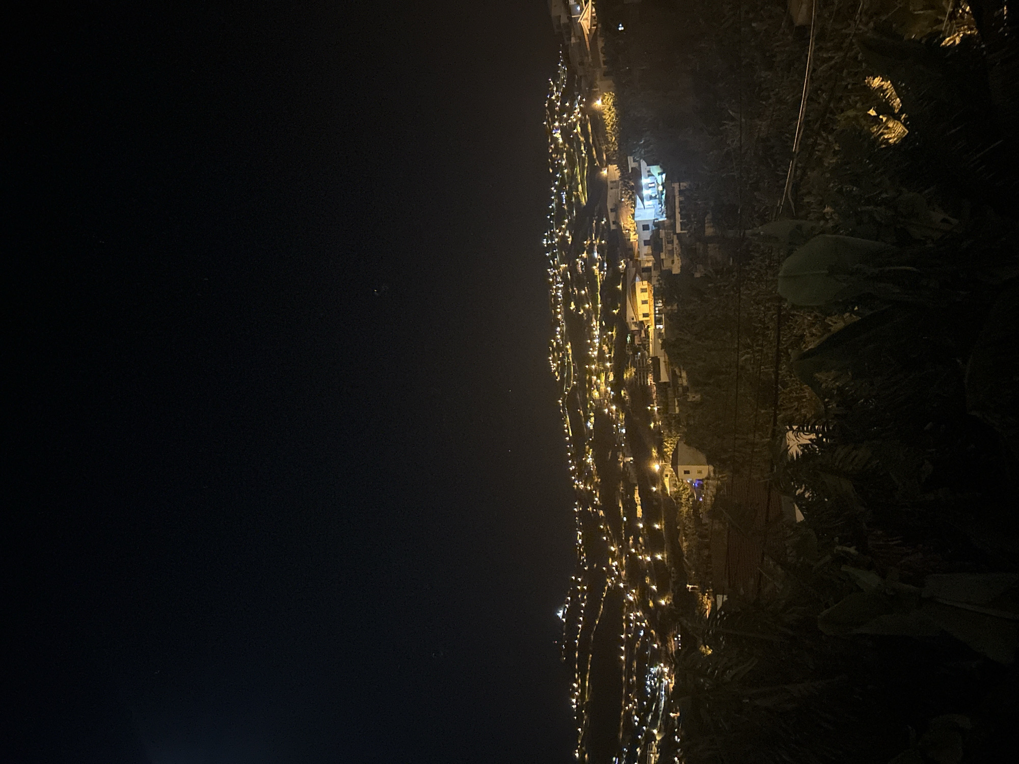 The image depicts a nighttime view of Câmara de Lobos, Portugal, from an elevated position. The left side of the frame is dominated by a dark night sky, sparsely punctuated by faint stars. Progressing towards the right, numerous lights trace the outline of the town, illuminating houses and streets along a hillside. These lights appear as concentrated points and lines of yellow and white. On the far right, dark foliage encroaches into the frame, suggesting natural vegetation growing along the hillside's edge. The image captures the interplay between the built environment and natural surroundings under low-light conditions.