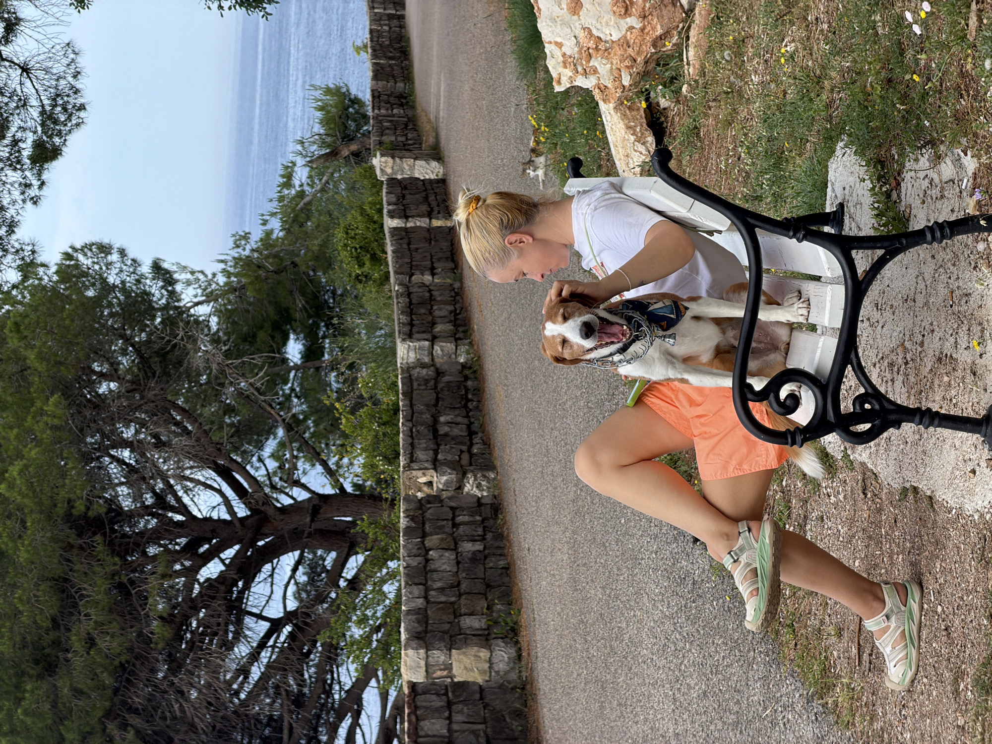 A woman sits on a bench with a dog in Mirište, Montenegro. The woman has blonde hair pulled back in a bun and wears a white t-shirt and orange shorts. She is petting a medium-sized dog with brown and white fur, a blue patterned bandana, and a silver chain collar. They sit on a black and white metal bench. The background features a stone wall bordering a pathway, trees, and a view of the ocean.