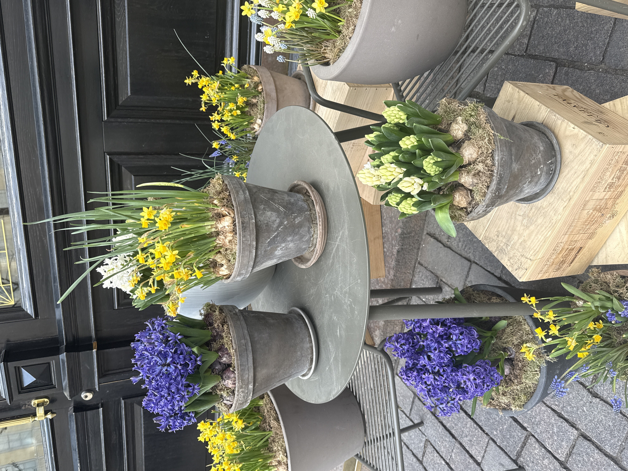 A collection of potted flowers is displayed on a table and adjacent surfaces outside a building. There are daffodils (yellow and white), hyacinths (purple and white), and grape hyacinths (blue) visible. The pots are various shades of gray and appear to be made of metal. The table is a small, round, gray metal table with a wire frame chair nearby. A wooden crate sits on the ground, possibly used for display. The background includes a black door with decorative molding. The scene is likely set on a cobblestone street. It is possible that this image was taken in Saint Petersburg, Russia, given the architecture and cobblestone street, but cannot be confirmed with certainty from the image alone. No people are visible in the image.