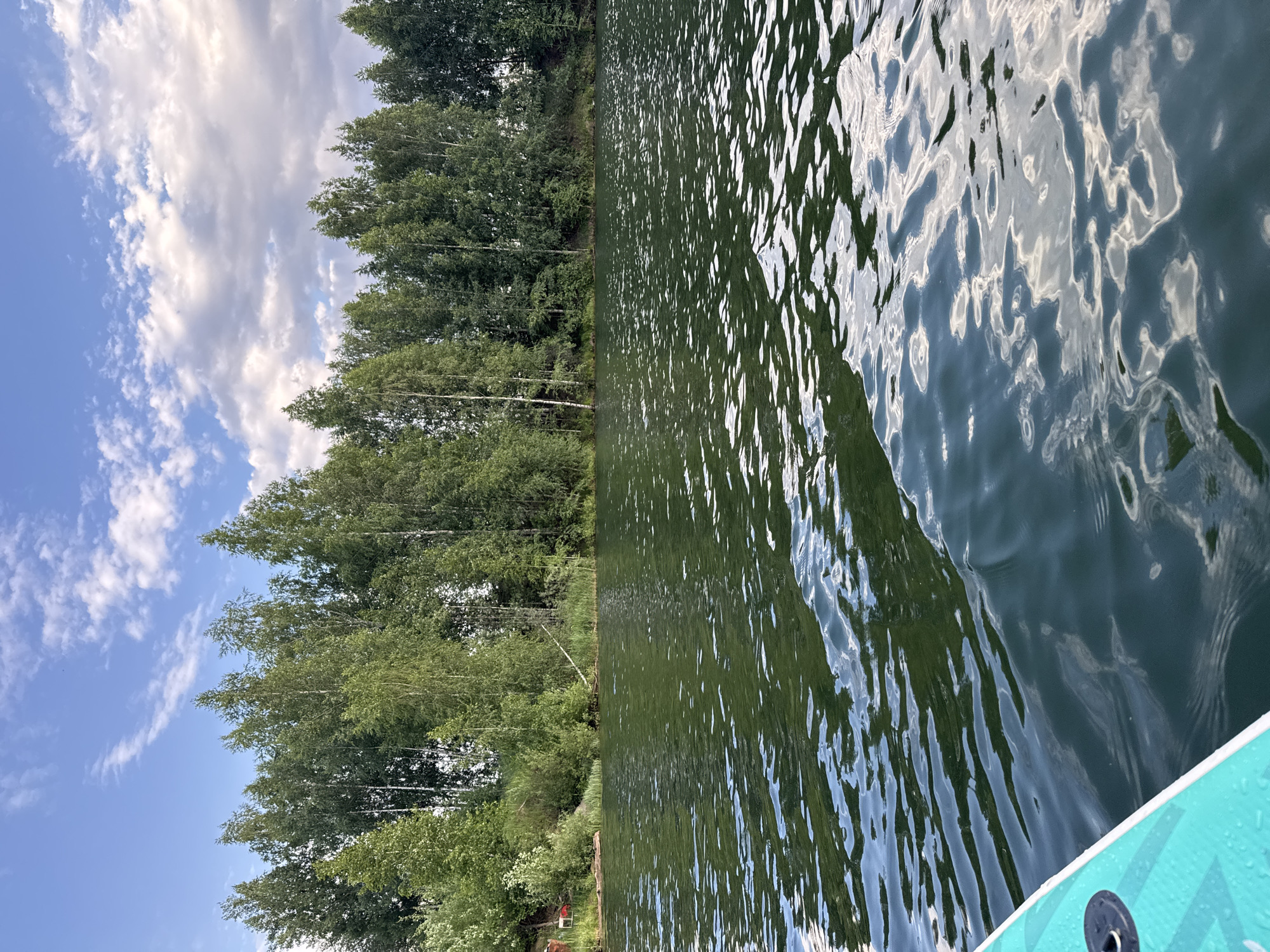 A vertical, eye-level, medium shot captures a serene body of water with a tree-lined shore under a partly cloudy sky. The foreground is dominated by the turquoise and white surface of a paddleboard, its edge visible in the bottom left corner. Ripples and gentle waves disturb the dark green water, reflecting the sky and trees. The middle ground shows a dense line of deciduous trees and some evergreens bordering the shore. The shore itself is a strip of dry land with some vegetation. The background features a blue sky dotted with white, fluffy clouds, some of which are tinged with sunlight. The scene appears to be a natural outdoor setting, likely a lake or calm river, possibly in a rural or recreational area. The time of day seems to be late afternoon or early evening, given the lighting. There are no people or animals visible in the image.
