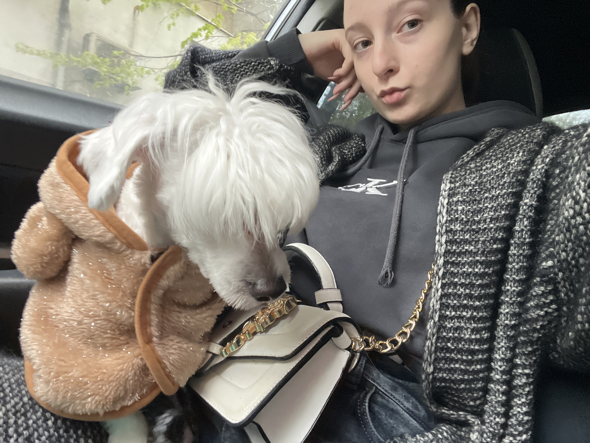 A young person sits in a car with a small white dog dressed in a brown, furry jacket. The person is wearing a gray hoodie and has their left hand up near their face. The dog is looking at a white purse with a gold chain strap. The person has denim pants on and there is a gray and black knit blanket in the scene. The location appears to be in a car on a street in Varna, Bulgaria, based on the European-style building visible through the car window.
