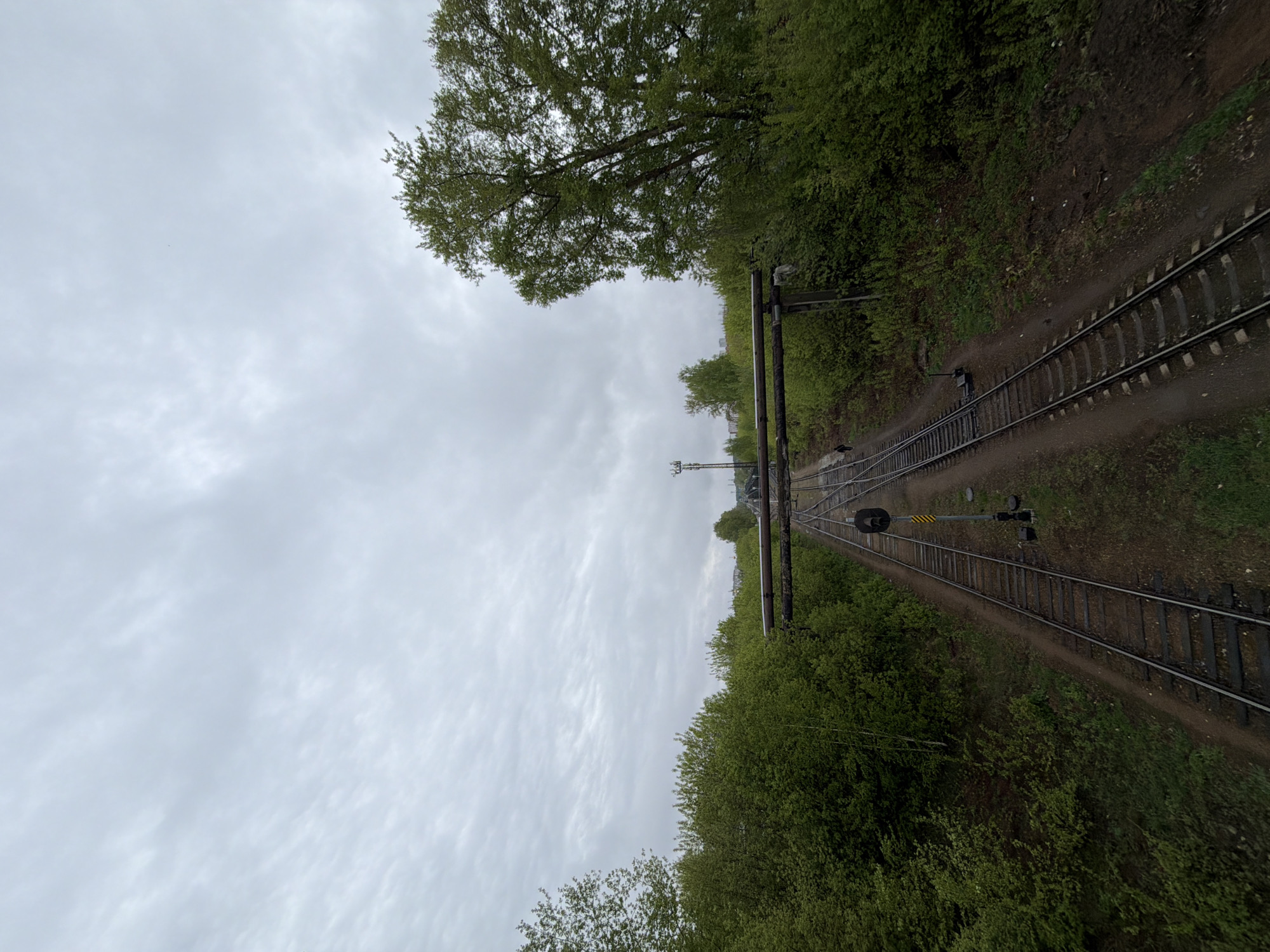The image shows a railway track scene in Chaikovsky, Russia. The tracks run through a forested area under an overcast sky. Vegetation flanks both sides of the tracks. Overhead electrical lines and support structures are visible above the tracks. A railway signal is positioned along the track's edge. The scene is shot from an elevated perspective, looking down the railway line. No people are visible.