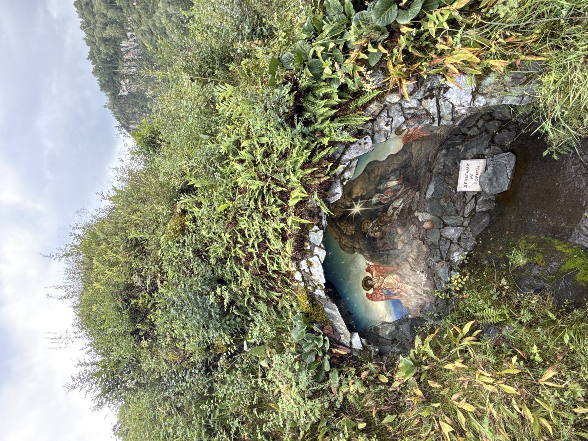 The image depicts a sacred spring located in Chemal, Russia, a small and revered site nestled within a lush, overgrown natural landscape. The spring is housed within a small grotto, its opening framed by rough-hewn stones and abundant green vegetation, including ferns and other leafy plants. Dominating the grotto's interior is a painted mural depicting a religious scene.
The mural features an angel with large, red wings on the left, rendered in a traditional iconographic style with golden halos. To the right of the angel, other figures are depicted, possibly from a Nativity scene, with a star prominent above them. The background of the mural transitions from a starry sky to a rocky landscape.
At the base of the grotto, water pools, appearing dark and slightly murky, reflecting the surrounding greenery and the mural. A small, white sign with red Cyrillic text is affixed to a stone within the grotto, near the water's edge. The text on the sign reads "ДЕНЬГАМИ НЕ СОРИТЬ," which translates to "Do not litter with money," a common directive at religious sites, suggesting that offerings or monetary donations are not to be discarded in the water.
The environment surrounding the grotto is verdant and untamed, with thick foliage climbing up a hillside. In the background, a steep, rocky mountain slope covered in dense forest under a cloudy sky can be seen. The overall impression is one of a tranquil, spiritual place integrated into a wild, natural setting.