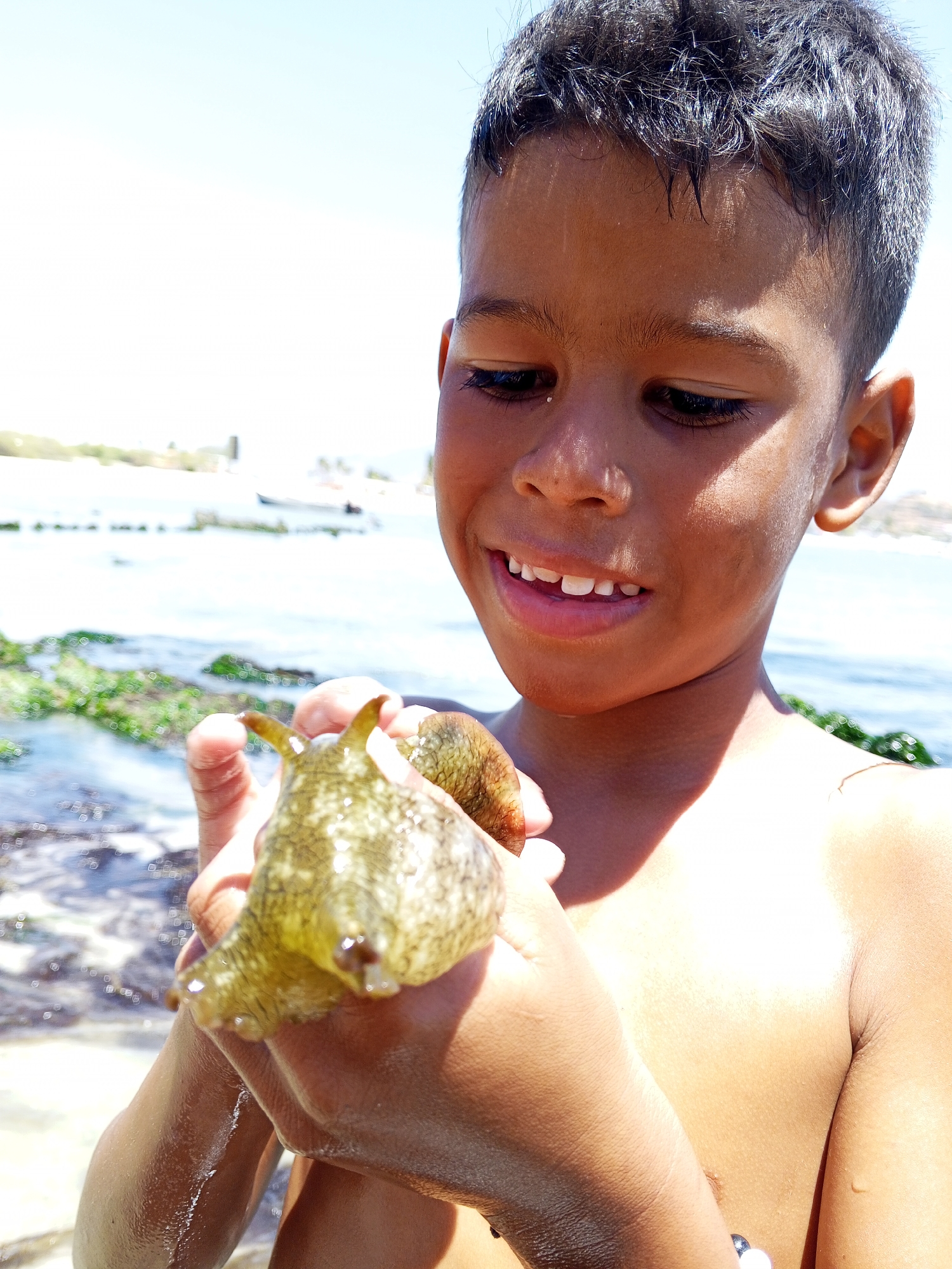 A young boy with dark hair is holding a sea hare in his hands. The boy is looking at the sea hare with a smile. The background shows a beach with seaweed and a boat in the distance. The location is Unknown, Unknown.