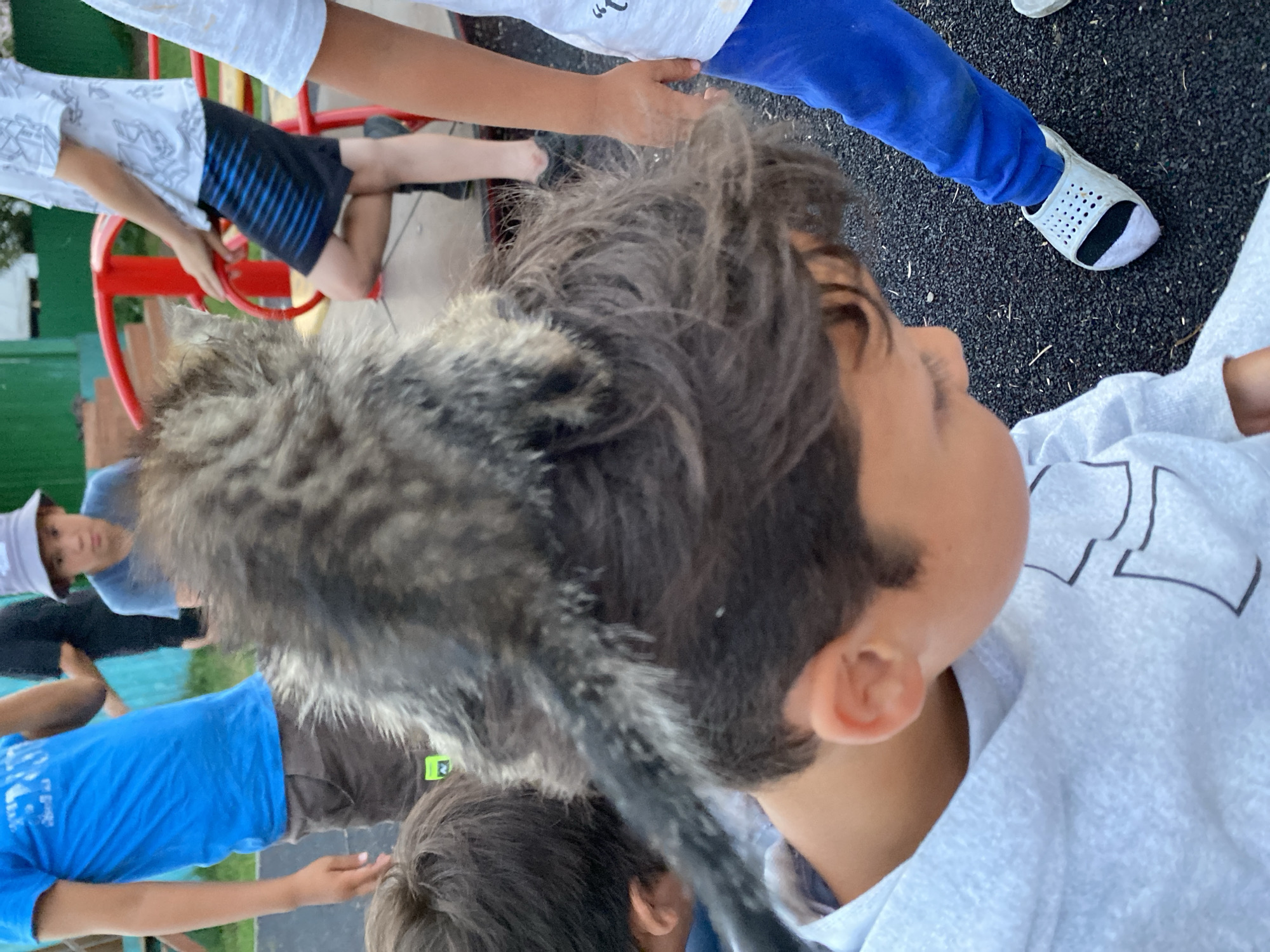 In Maloarslangulovo, Russia, on a playground with a dark, granular surface, a cat sits atop the head of a young boy. The cat has grey and black fur, with its tail extending down the boy's back. The boy, wearing a light grey hoodie, looks down, his face partially obscured. Beside him, another child in blue pants and white Crocs stands, and to the left, a boy in a blue t-shirt and grey shorts is visible. In the background, a person in a bucket hat and a green structure can be seen.