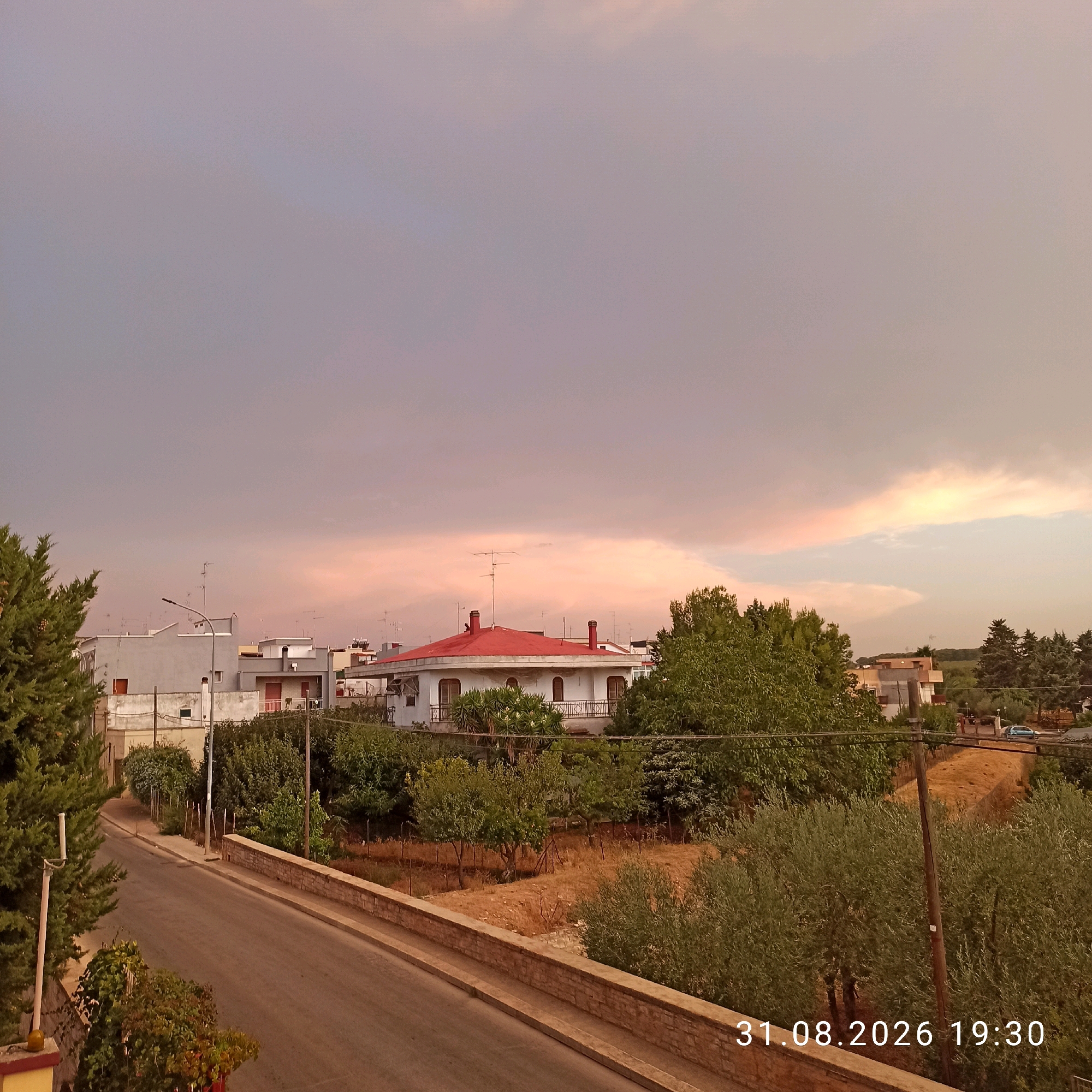 The image depicts an outdoor scene in Bitonto, Italy, at dusk on August 31, 2026, at 19:30. The sky is filled with a gradient of colors, ranging from a muted purple-grey at the top to soft pinks and oranges near the horizon, indicating the end of daylight.
In the foreground, a paved road curves to the left, bordered by a low stone wall on the right. Dense green foliage, including trees and bushes, lines the left side of the road, with a large coniferous tree dominating the immediate left foreground.
Further into the scene, several buildings are visible. The most prominent is a white house with a red tiled roof, featuring arched windows and a balcony with a wrought-iron railing. Adjacent to it are other multi-story buildings, some with light-colored facades and balconies. A street lamp stands near one of the buildings.
The middle ground is characterized by a mix of vegetation and more buildings. Trees and bushes are interspersed with the structures, and some areas appear to be dry, possibly cultivated land. In the distance, more trees are visible, and hints of other structures suggest a residential area. A blue car is parked on a road in the far right distance.
The overall impression is a serene evening view of a semi-urban or suburban landscape in Bitonto, Italy, captured as daylight fades. There are no people visible in the image. The timestamp "31.08.2026 19:30" is superimposed on the bottom right corner.