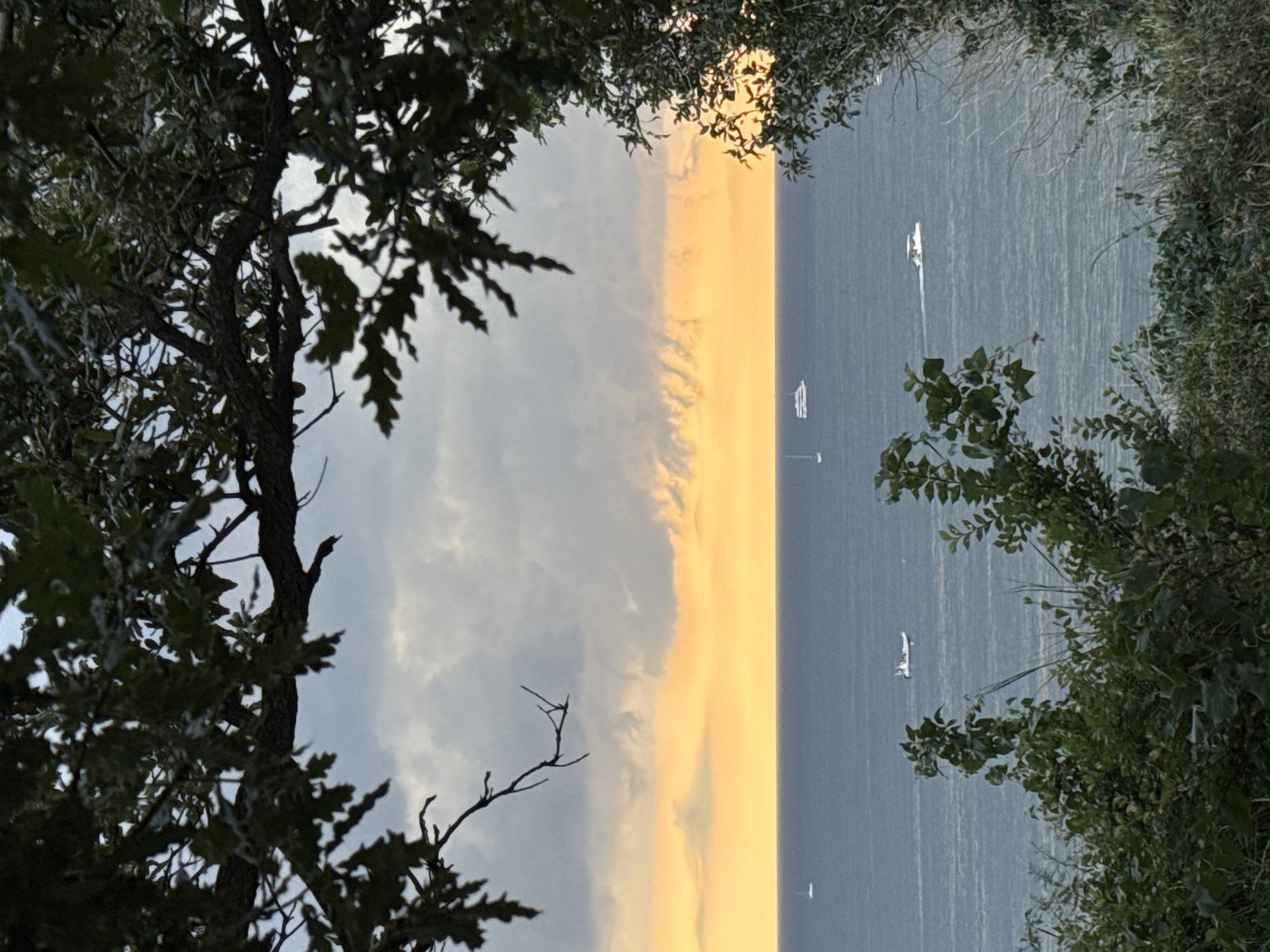 A view from a cliff overlooking the sea at sunset. In the foreground, dark green foliage frames the scene, with branches of an oak tree partially obscuring the sky and sea. The sea is a deep blue, with several boats visible: a small sailboat, a white motorboat, and a larger white vessel. The sky transitions from dark grey clouds at the top to a vibrant orange and yellow band of sunset light along the horizon. The location is the coast of Gelendzhik, Russia.