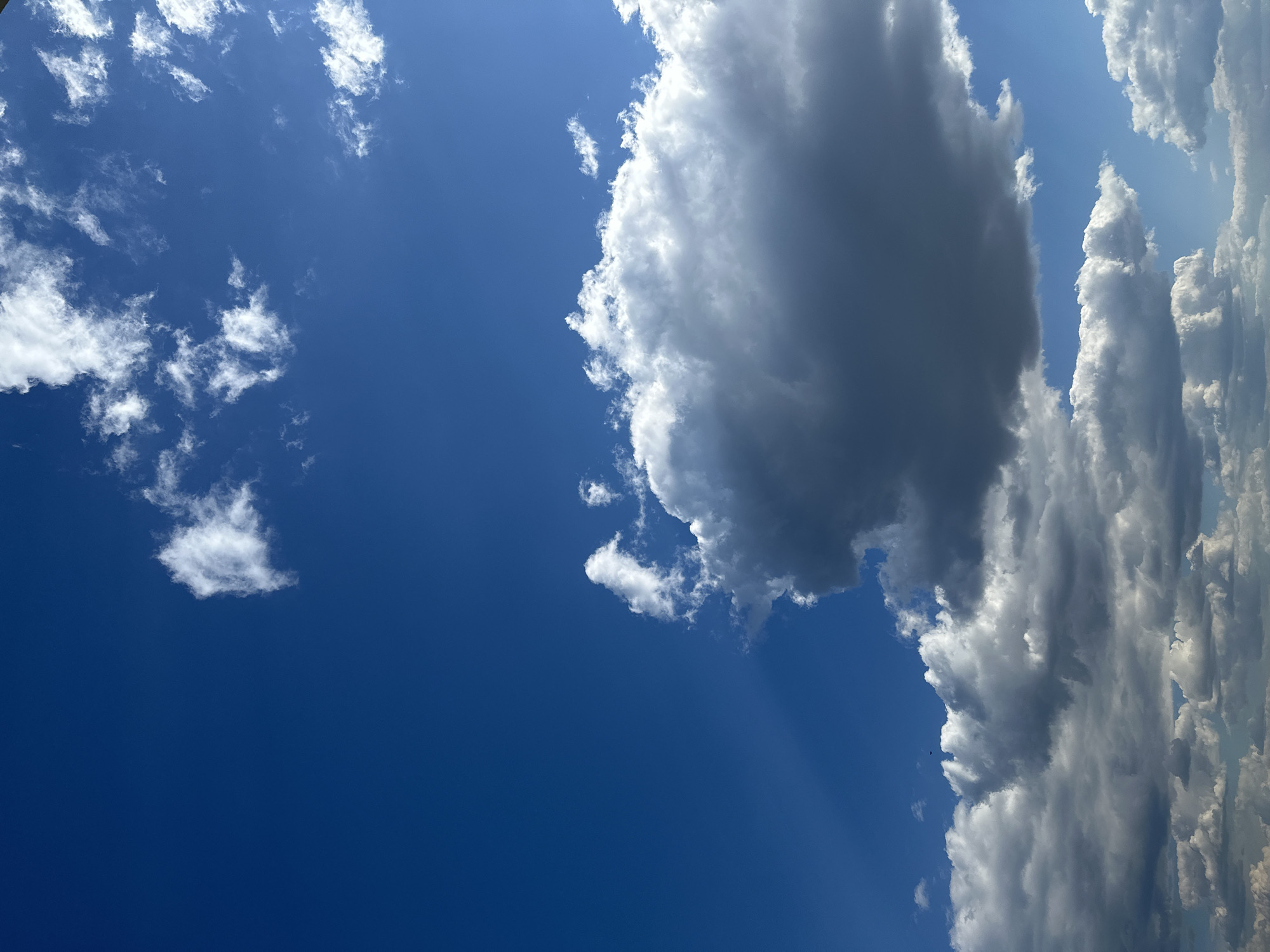 The image shows a daytime view of the sky. Predominantly deep blue, the sky contains scattered white and gray clouds of varying sizes. A larger gray cloud dominates the right side of the frame, while smaller, whiter clouds are visible on the left. Light rays appear to stream down from behind the larger cloud. The image is oriented vertically. The location is not determinable from the image.