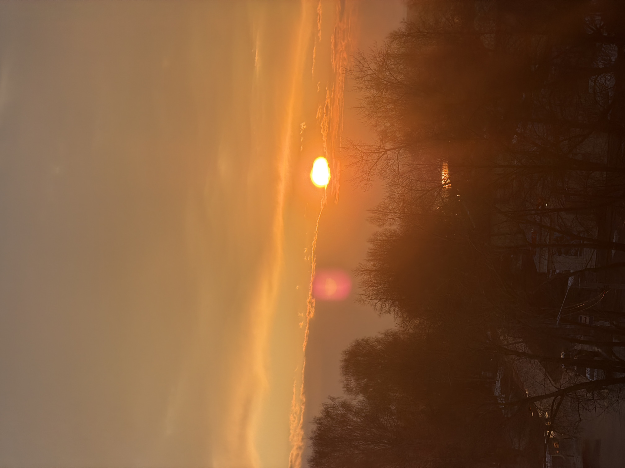 The image shows a sunrise or sunset in what appears to be Chaikovsky, Russia, based on the visible architecture and landscape. The sun is low on the horizon, casting an orange glow across the sky and the scene. Bare tree branches are silhouetted in the foreground and middle ground, partially obscuring the view of some buildings. There are no visible people in the frame. The sky has patches of clouds near the horizon. A pinkish lens flare is visible near the sun.