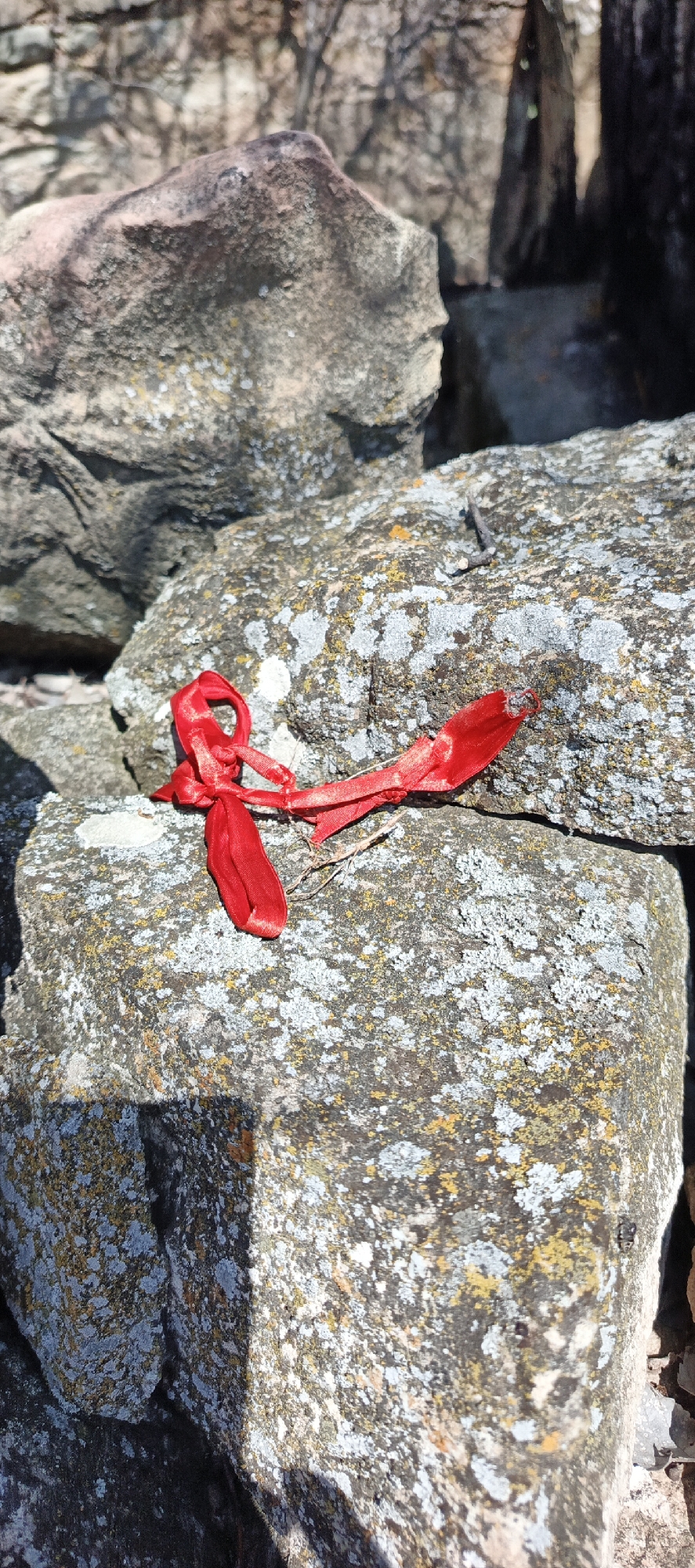 The image features a vibrant red ribbon, tied in several loops and extending outwards, resting on a textured rock surface in an outdoor setting. The ribbon, appearing to be made of satin or a similar shiny fabric, is the focal point, positioned slightly right of the center.
The setting consists primarily of large, irregular rocks that form a natural or constructed arrangement, possibly a wall or a rock pile. These rocks display diverse textures and colors, being heavily covered with patches of light gray, white, and yellowish-orange lichen, indicating an aged and exposed environment. Bright sunlight illuminates the scene, casting distinct shadows, particularly to the left of the ribbon and on the lower parts of some rocks, suggesting a clear, sunny day. The background is out of focus, showing glimpses of more rocks and blurred tree branches or dry vegetation, reinforcing the natural, outdoor location.
No direct activity is captured, but the presence of the carefully placed red ribbon suggests a past human action, possibly a cultural tradition, a memorial, or an offering commonly observed in various regions, including Armenia. There is no visible text. The overall impression is one of a serene, natural environment, with the man-made object creating a point of interest against the weathered stone backdrop. The scene is located in Berdavan, Armenia.