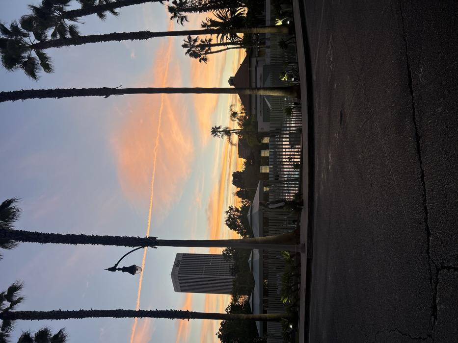 A rotated street scene features silhouetted palm trees against a vibrant sunset sky. Hues of orange and pink stretch across the horizon with wisps of clouds and contrails. A street lamp and a tall, rectangular building punctuate the skyline. A dark asphalt road with visible cracks dominates the foreground, extending into the distance, bordering a fenced area with greenery.