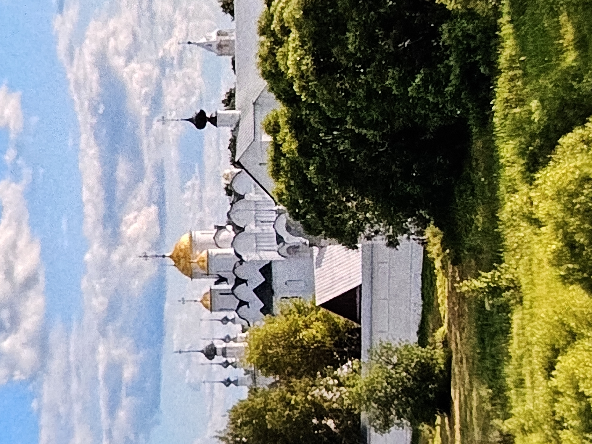 The image depicts a wide shot of the Assumption Cathedral in Vladimir, Russia, set against a backdrop of a partly cloudy sky. The cathedral, a significant architectural landmark in Vladimir, is characterized by its white walls and golden domes, some of which are visible above the surrounding trees. The foreground features a lush, green grassy area with some vegetation, suggesting an outdoor setting, possibly a park or a meadow, on a sunny day. The image focuses on the architectural grandeur of the cathedral and its integration with the natural landscape.