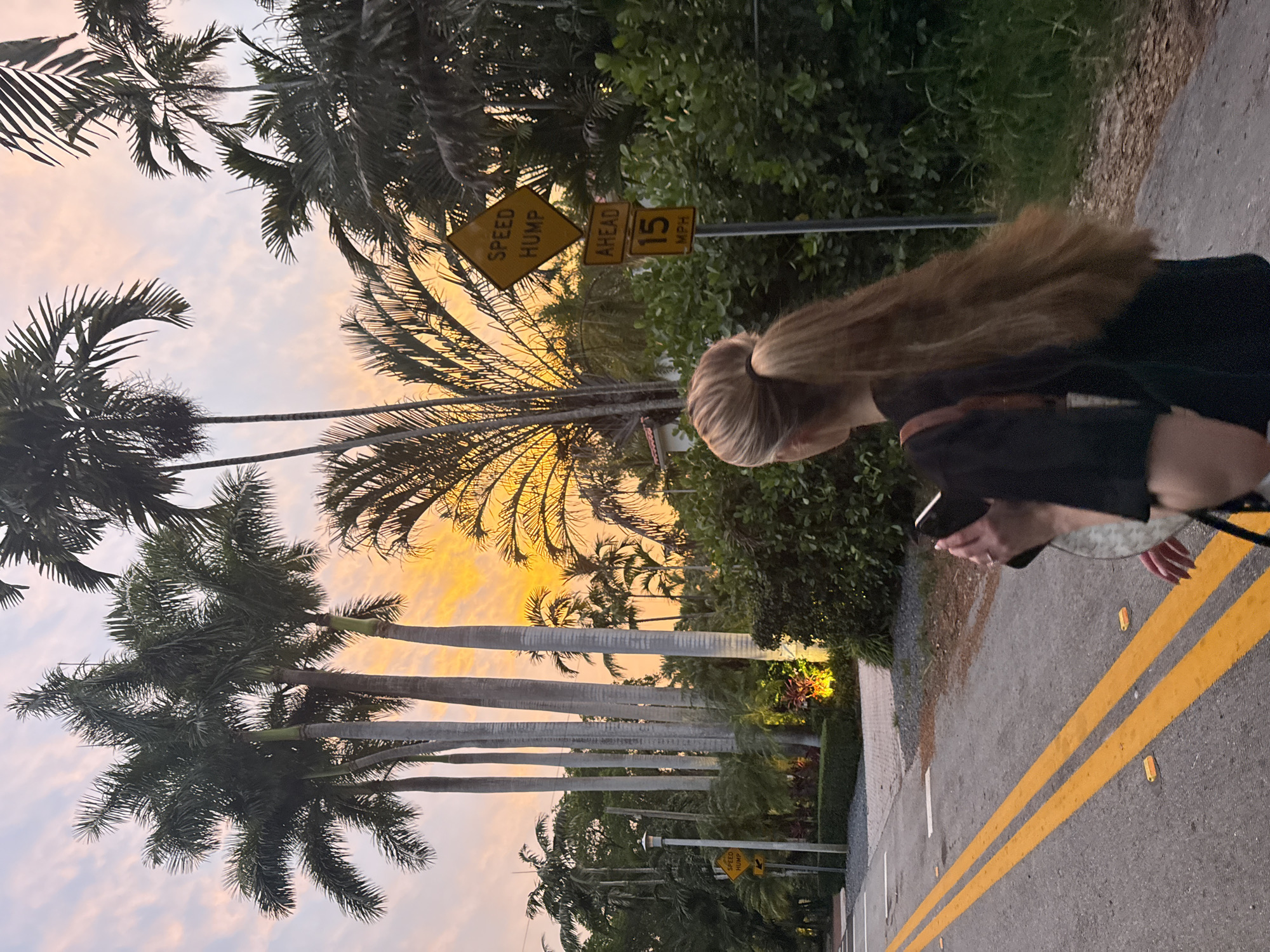 A young woman with blonde hair in a ponytail walks away from the camera on a road lined with palm trees and lush vegetation. She is wearing a black t-shirt and carrying a phone and a bag. Two yellow lines are painted on the asphalt road, indicating it is a two-lane road. Traffic signs are visible on the right side of the road. The sky is a mix of pink and orange hues, suggesting either sunrise or sunset. The overall setting appears to be a tropical or subtropical environment, consistent with a location in Miami, Florida, USA.