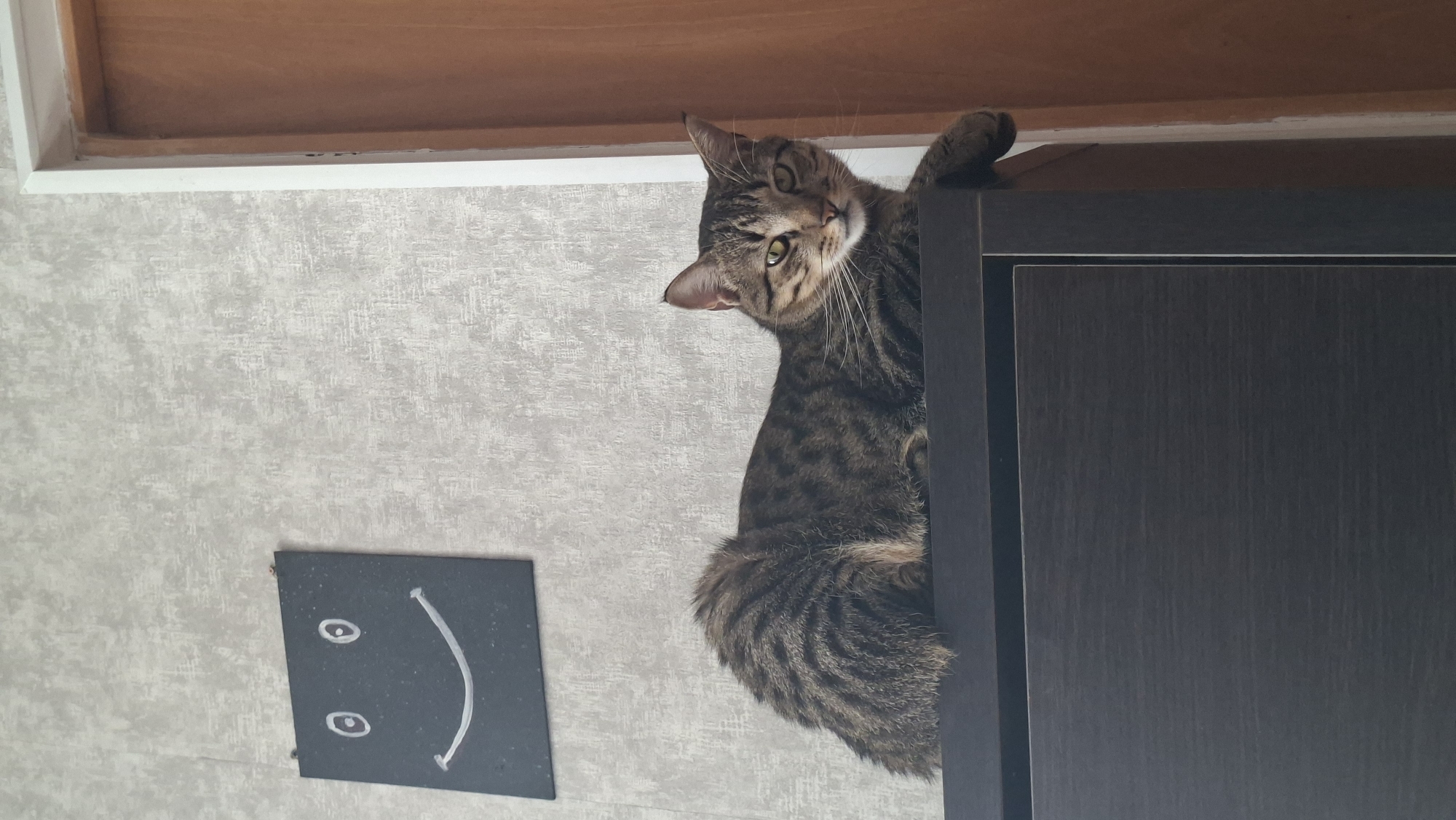 A tabby cat with brown and black stripes is lying on top of a dark brown wooden cabinet. The cat is facing the camera with its head slightly tilted and its eyes partially closed. Its left paw is extended over the edge of the cabinet. Behind the cat and slightly to the left, a black square object with a smiley face drawn on it is attached to a textured, light gray wall. To the right of the cat and cabinet, a partially visible wooden doorframe and a curtain are present. The scene appears to be indoors, possibly in a residential setting in Myadzyel, Belarus.