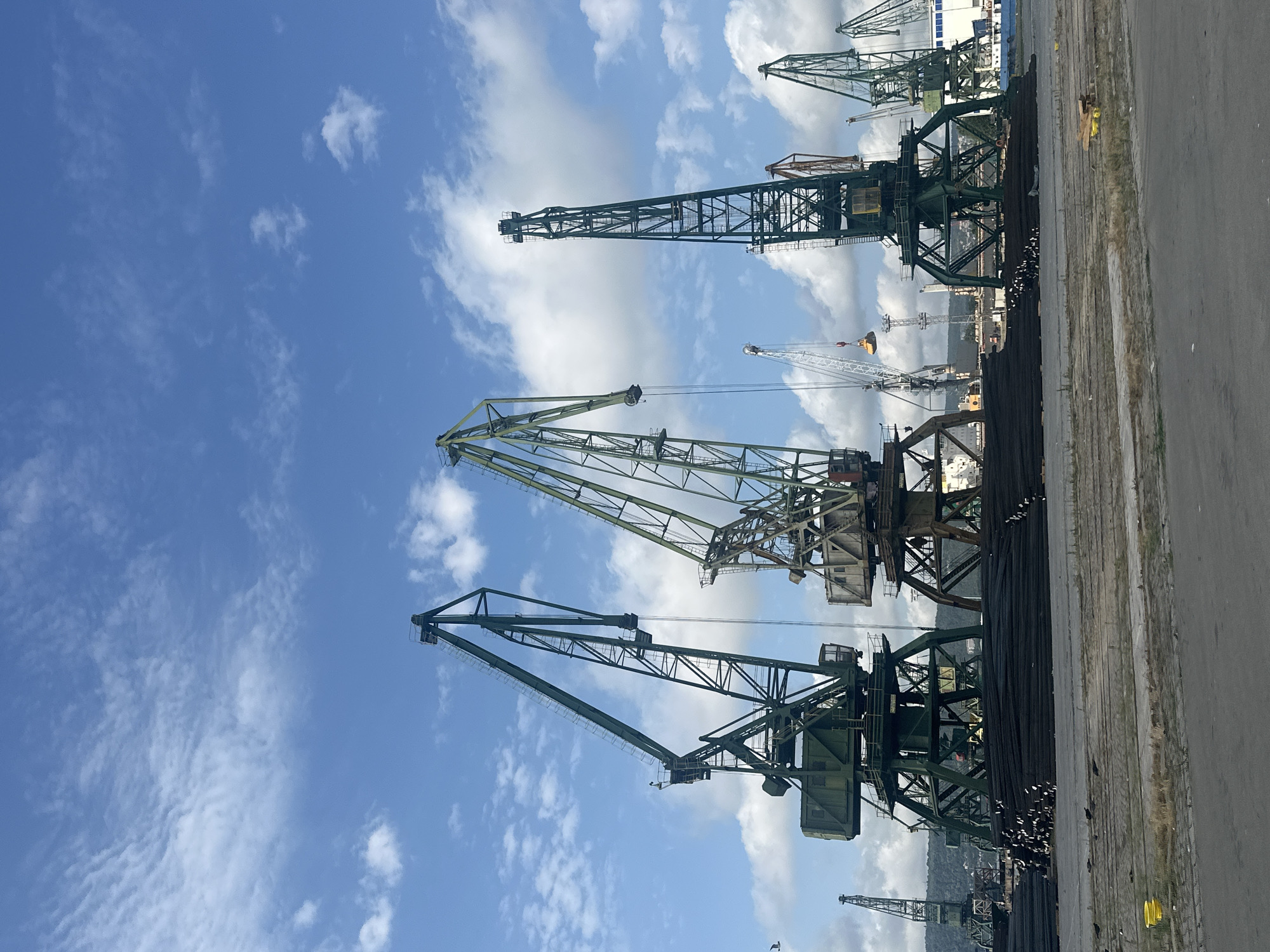 This is a vertical, eye-level, outdoor, daytime, photographic shot of a cargo port. The image is dominated by several large, green industrial cranes, silhouetted against a bright blue sky dotted with white, wispy clouds. In the foreground, large stacks of dark, cylindrical material, possibly rebar or pipes, are piled high on the ground. Several small, dark birds are scattered around the rebar piles. Further back, a lighter-colored industrial crane is in operation, lifting a yellow object. Beyond the cranes, a distant treeline and some buildings are visible on a hillside. The ground in the foreground is a paved surface with visible seams and some scattered debris. The overall impression is one of heavy industrial activity under a clear, partly cloudy sky.