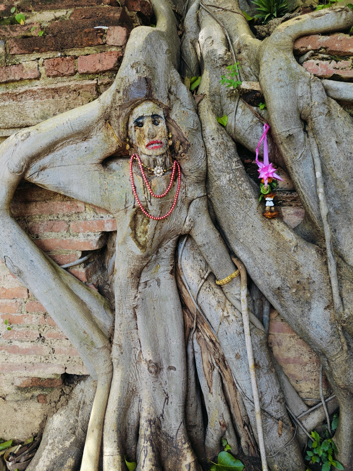 The image displays a close-up, eye-level shot of a large tree's roots that have grown to resemble a human figure, set against a weathered brick wall in Ayothaya Town Municipality, Thailand. The tree roots are thick and gnarled, forming a body-like structure with distinct limb-like protrusions. Carved or painted onto the roots is a face with exaggerated features, including dark eyes, red lips, and applied makeup. The figure is adorned with several accessories. A two-strand pink beaded necklace with a white flower-shaped pendant is draped around the neck area. A delicate gold chain is attached to the left side of the face, and a gold bangle is visible on the right arm. A small, pink, star-shaped ornament with green and white accents is hanging from a higher root on the right side of the frame. Green foliage is present at the base of the tree and peeking through the roots and between the bricks, indicating an outdoor, possibly overgrown, environment. The brick wall shows signs of age and deterioration, with some bricks missing and mortar crumbling. The overall scene has a spiritual or devotional ambiance.