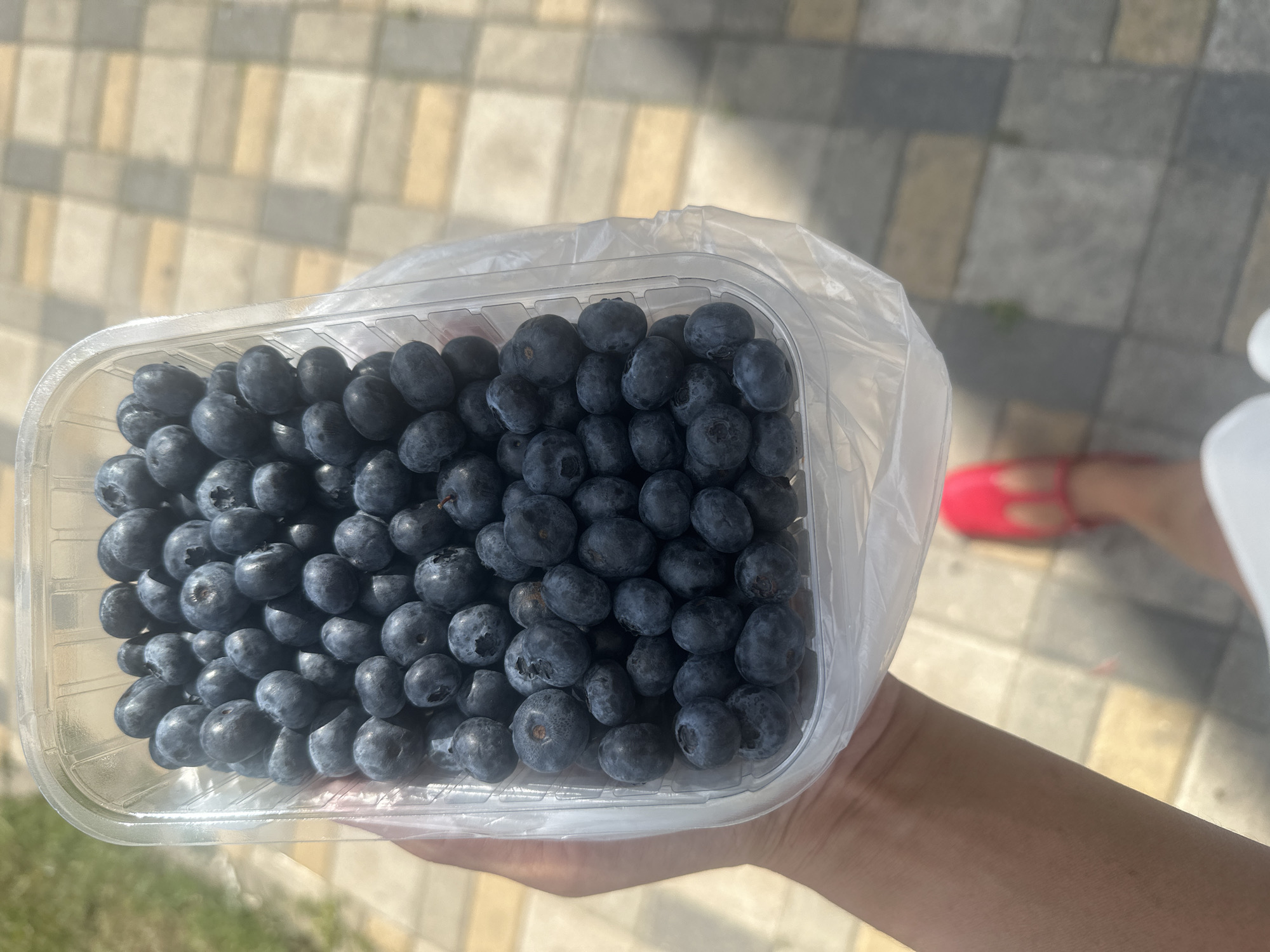 A hand holds a clear plastic container filled with blueberries. The container is partially wrapped in plastic film. The background shows a paved area with rectangular tiles in shades of beige and gray. A person wearing bright pink open-toed shoes is visible at the bottom of the frame. The scene is outdoors, likely on a sunny day, given the lighting. The location is not identifiable as Moskva, Russia.