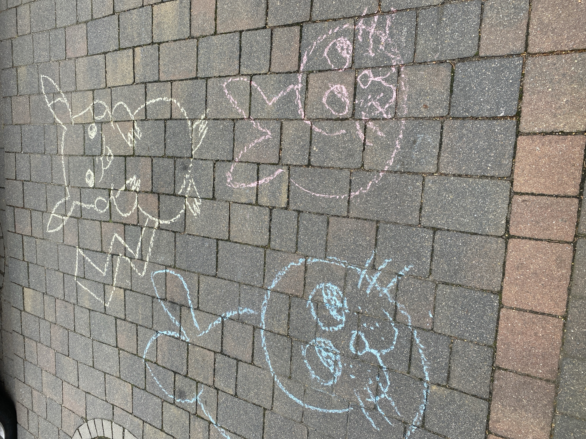 The image depicts a paved driveway or walkway made of interlocking stone pavers. Three chalk drawings are visible on the surface of the pavers. In the upper right quadrant, a drawing of Pikachu, a character from the Pokémon franchise, is rendered in white chalk. To the left of Pikachu, a chalk drawing of what appears to be Eevee, another Pokémon character, is drawn in light blue chalk. In the lower right quadrant, a chalk drawing of what resembles another Eevee, or possibly a similar Pokémon, is depicted in pink chalk. The drawings are rudimentary and appear to be drawn by children. The setting is outdoors, with natural lighting suggesting daylight conditions. There are no people visible in the image. The specific location in the city of Buk, Poland, cannot be determined from the visual information provided in the image.