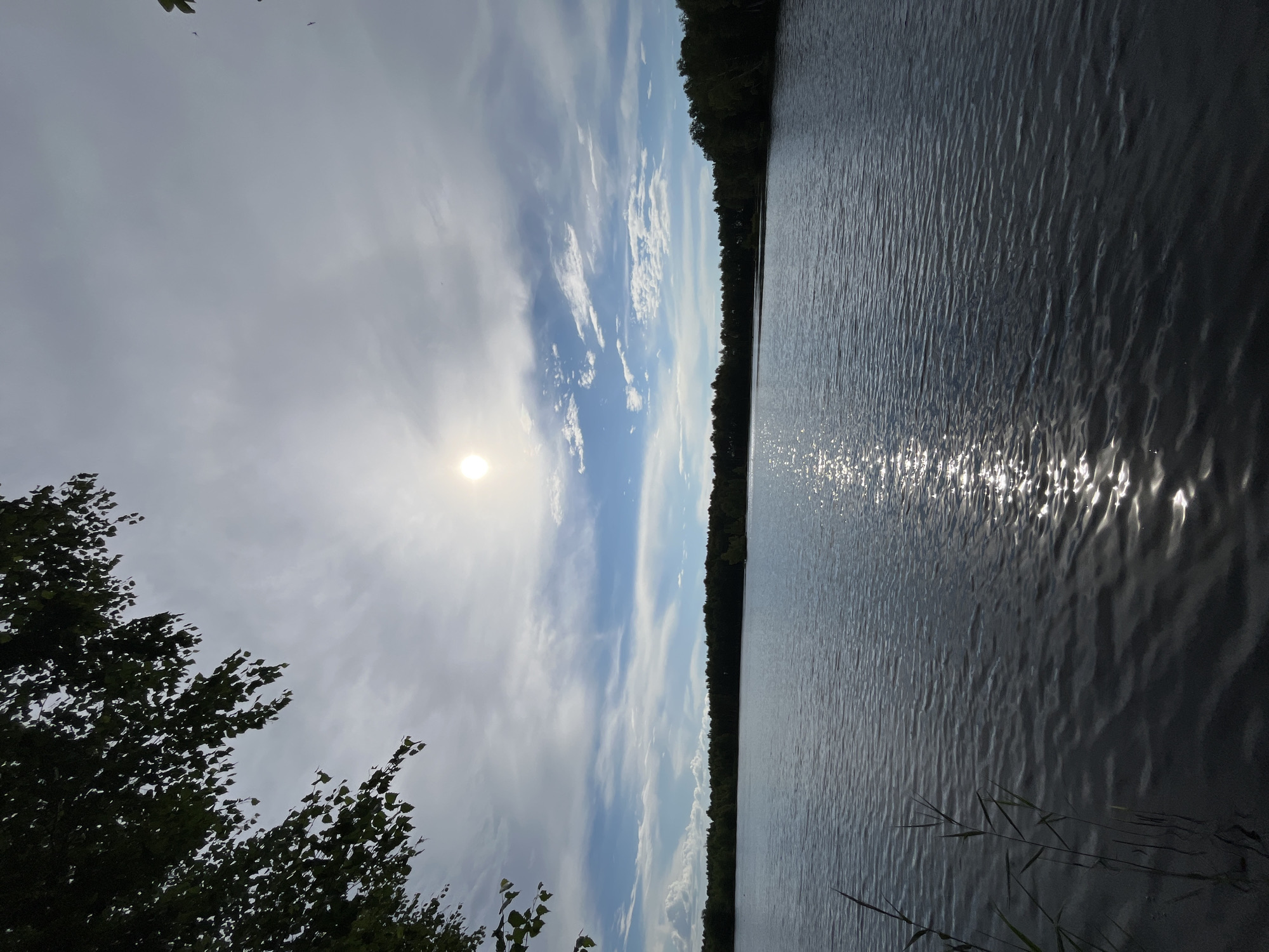 A wide shot captures a serene lake under a partly cloudy sky with the sun partially obscured by clouds. The sun's rays create a shimmering reflection on the water's surface. The far bank of the lake is lined with a dense, dark green forest. In the foreground, on the left side, branches with green leaves hang over the scene. Tall, thin reeds are also visible in the lower left corner, growing out of the water. The overall impression is one of natural tranquility. The location is the lake in the city of Nagorny, Russia. There are no people or animals visible in the image.