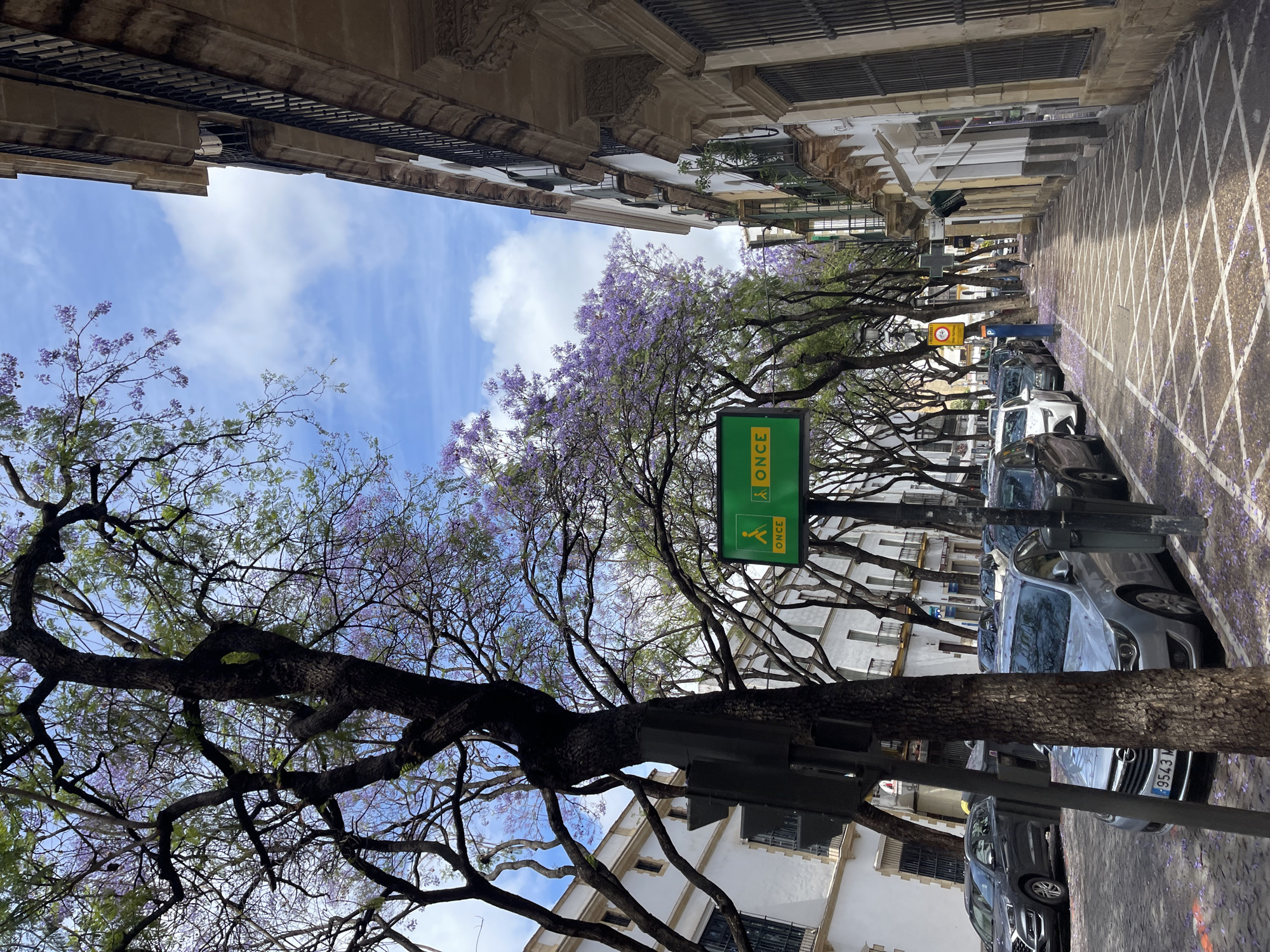 The image captures a street scene in Jerez De La Frontera, Spain. The view is along a street lined with jacaranda trees in full bloom, their purple flowers adding color to the scene. The street is flanked by buildings with classic architecture. Cars are parked along the street, and the pavement features a grid pattern. A sign with the word "ONCE" is visible, likely indicating a local business or service. The sky is partly cloudy, suggesting a pleasant day.
