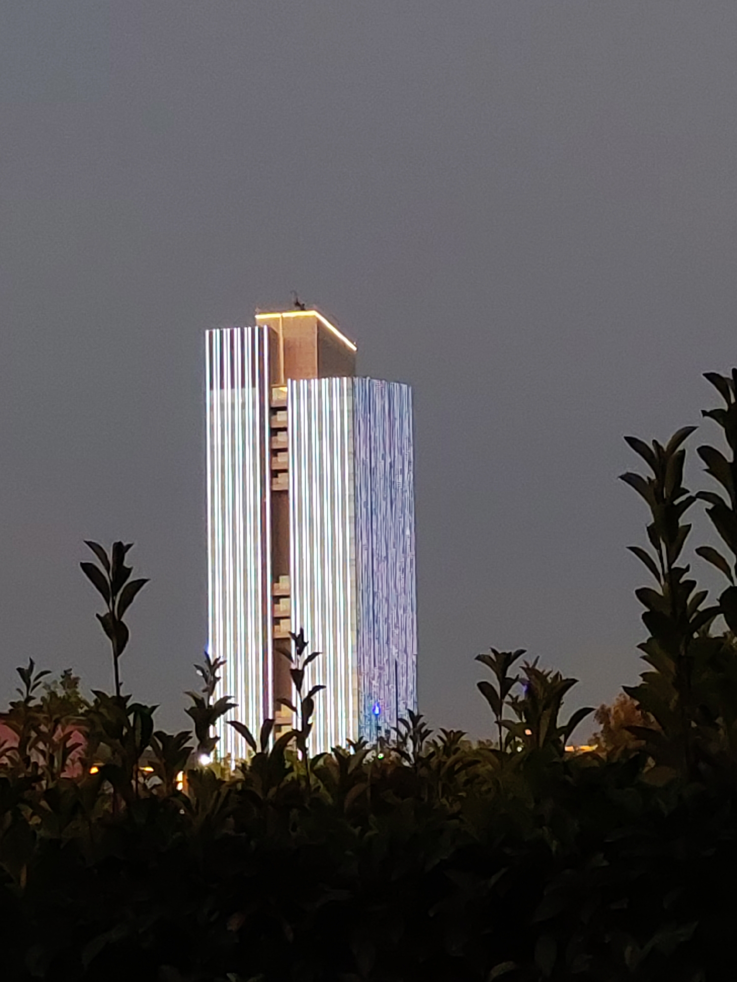 An exterior, night-time, medium shot shows a modern, illuminated skyscraper in Tashkent, Uzbekistan. The building features a rectangular structure, with the upper portion appearing as a slightly recessed, golden-lit section atop a taller, wider section. The main body of the tower is covered in vertical, multi-colored LED lights that create a striped effect. In the foreground, dark foliage from trees and bushes obscures the lower portion of the image. The sky is a uniform, dull grey.