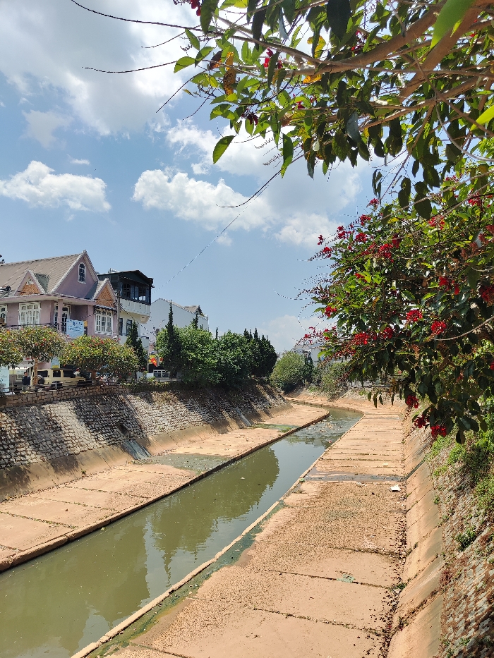 The image captures a concrete-lined canal or channeled river in Thành phố Đà Lạt, Vietnam, under a partly cloudy sky. The waterway features greenish-brown water with visible debris and algae, flowing between artificial banks constructed from large, light-brown concrete slabs.
The left bank rises to an elevated terrace supported by a stone retaining wall at its base. Above this wall, a row of mature trees partially obscures several multi-story buildings designed with pitched roofs and light-colored facades (pinkish-beige, white) consistent with European architectural styles. A yellow vehicle is partially visible on an unseen road behind these trees.
The right bank, also lined with concrete slabs, ascends to a natural embankment heavily vegetated with green trees and a prominent bush displaying numerous red flowers in the foreground. No individuals or direct human actions are observable. The scene is illuminated by bright sunlight.