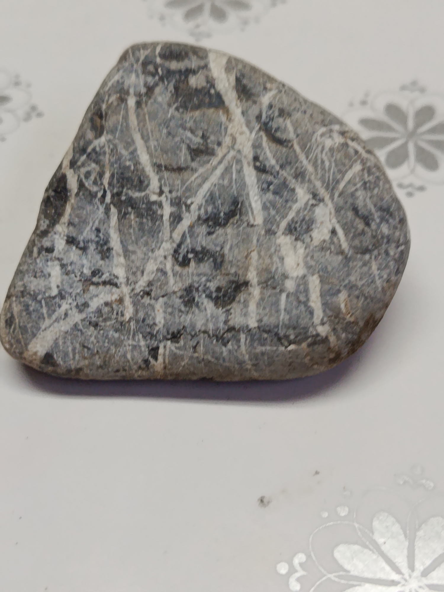 A single, grey, oval-shaped stone with white veins is positioned on a white surface with a subtle floral pattern. The stone is the primary subject, taking up the majority of the frame. The surface beneath it is flat and appears to be a tablecloth or placemat. No people, animals, or specific landmarks are visible. The image is a close-up, studio-style photograph of the stone. There is no information available to associate this image with Chișinău, Moldova.