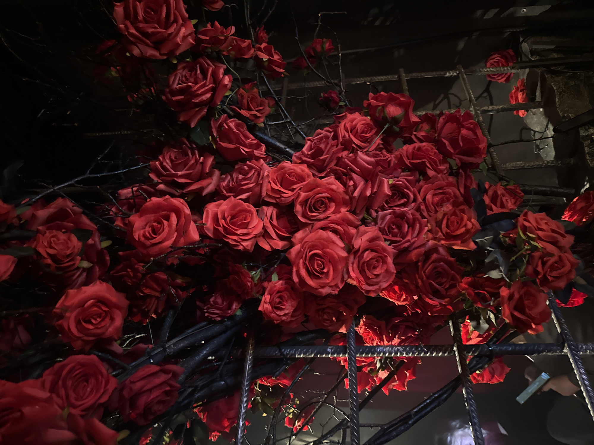 The image displays a dense, vertical installation of artificial red roses intertwined with dark, gnarled branches or metal rebar-like structures. Numerous deep red roses, appearing to be made of fabric, are clustered throughout the frame, with many in various stages of bloom. A prominent dark metal grate, possibly a decorative barrier or support structure, is visible in the lower-left and central-left portions of the composition. The background is largely dark and out of focus, suggesting low ambient lighting. In the lower-left quadrant, behind the metal grate, the lower portion of an arm and hand belonging to an individual is visible, holding a light-colored smartphone vertically. At the very bottom right, some dark, irregularly shaped objects, possibly stones or debris, are discernible on a dark surface. The specific location within Moscow, Russia, cannot be determined from the visual information present in the image.