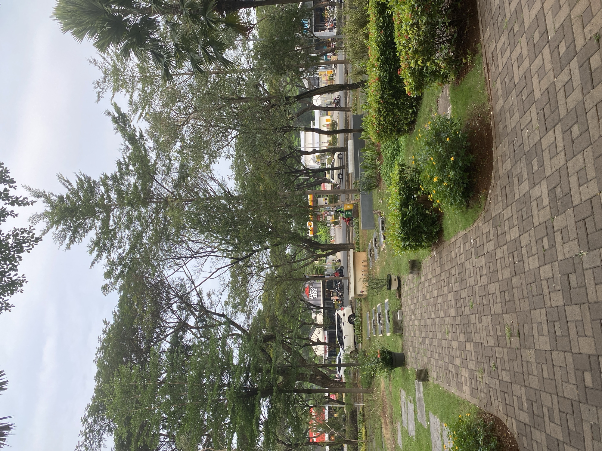 The image shows a view of a paved walkway with a park-like setting. The walkway is constructed of grey interlocking pavers and curves gently to the right. To the left of the walkway, there is a grassy area with several bushes and some trees with dense foliage. Some of the bushes have small yellow flowers. Further to the left, a street is visible with cars, motorcycles, and buildings. There are several signs on the buildings, including one that appears to say "MCD". The trees on the left are tall and have many branches, creating a canopy that partially obscures the sky. The sky is overcast. In the distance, there are palm trees. The image appears to be taken during the daytime, likely in the morning or afternoon, given the lighting. The setting suggests an urban park or a well-maintained public space in a tropical or subtropical region, given the presence of palm trees and lush greenery. There are no people clearly visible in the foreground, but there are vehicles and potentially people on the street in the background. The overall impression is one of a peaceful and green urban environment.