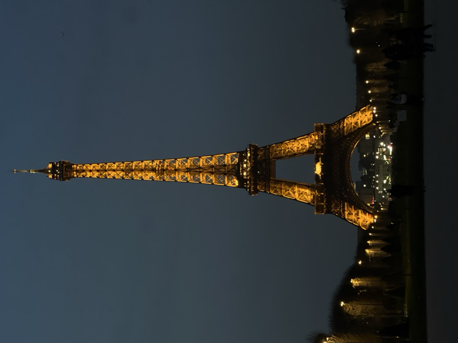 The image displays the Eiffel Tower, located in Paris, France, illuminated at night. The iconic structure stands centrally against a dark blue-grey sky, radiating a warm golden-orange light from its intricate lattice framework. A faint, dark silhouette, possibly an aircraft, is visible in the upper right quadrant of the sky.
The base of the tower rests on dark ground, likely a park or greenspace. Along the left and right edges of the midground, rows of uniformly trimmed trees or hedges are present, interspersed with numerous streetlights emitting warm yellow light. These lights line pathways that lead towards the tower.
In the lower half of the image, numerous individuals are visible, predominantly as dark silhouettes against the dim ambient light. They appear to be standing or walking across the park grounds. Through the main arch of the Eiffel Tower, distant city lights and blurred building structures are discernible, indicating a wider urban environment beyond the immediate park. The immediate foreground is a dark, undefined area, possibly a paved surface or shadowed ground.
