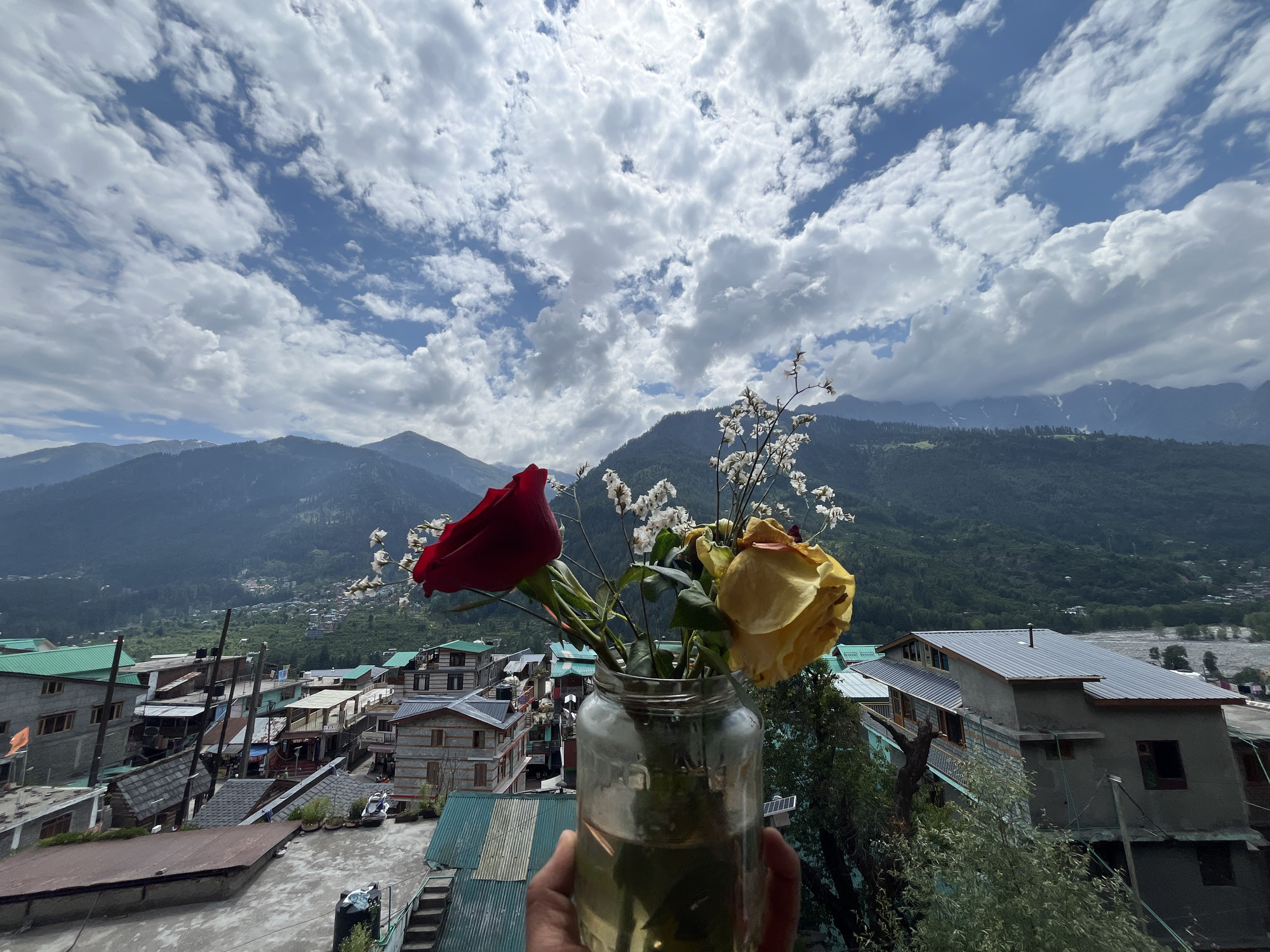 A hand holds a glass jar filled with water containing two roses, one red and one yellow, with small white flowers. The roses are in the foreground, in focus, with the hand and jar obscuring some of the background. Behind the flowers, a town with multi-story buildings with green and grey roofs, interspersed with trees, cascades down a hillside. In the distance, mist-shrouded mountains form the backdrop under a sky filled with dramatic, white, cumulus clouds against a bright blue sky. The location is Vashisht, India, suggested by the architecture and mountainous terrain.