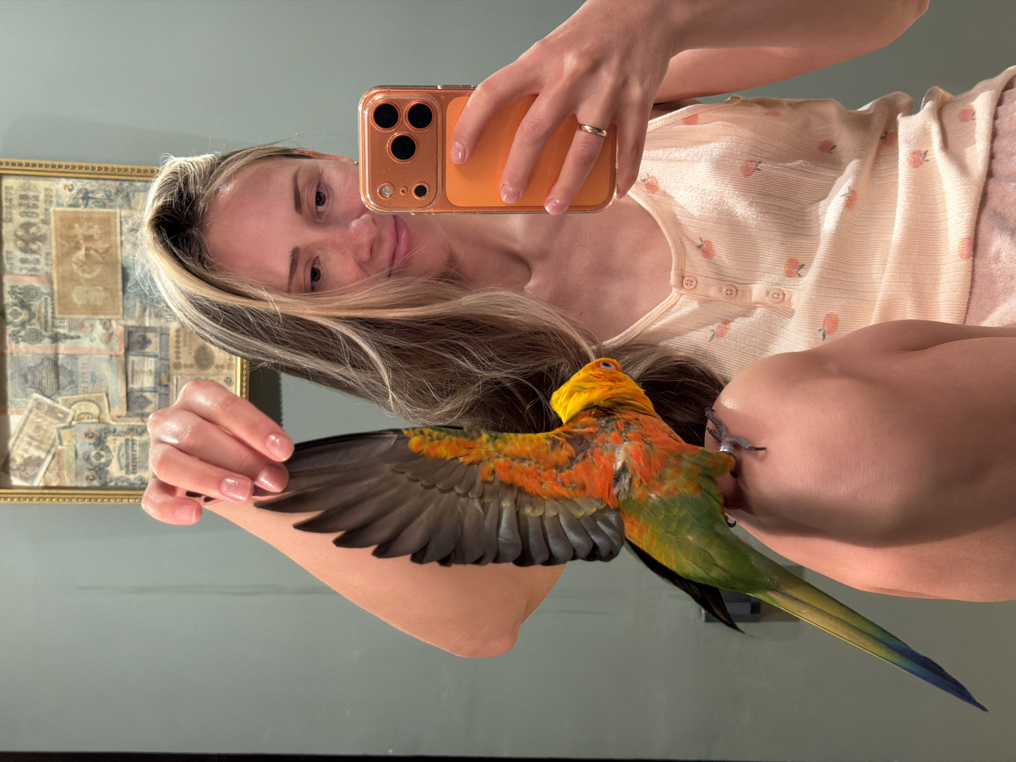 A woman with blonde hair is taking a selfie with a parrot on her arm. The woman is holding an orange smartphone. She is wearing a light peach colored shirt with peach fruit print. The parrot is yellow, orange, and green with black wing feathers. A framed picture hangs on the wall behind the woman. The location is not specified in the image.